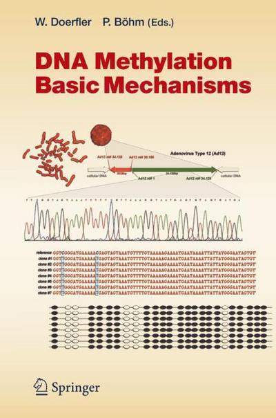 DNA Methylation: Basic Mechanisms - Petra Böhm