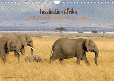 Faszination Afrika - wilde Tiere der Masai Mara - Kenia (Wandkalender 2022 DIN A4 quer) : Wundervolle Aufnahmen frei lebender Tiere, fotografiert vom Naturfotografen Ralph Patzel (Monatskalender, 14 Seiten ) - Ralph Patzel