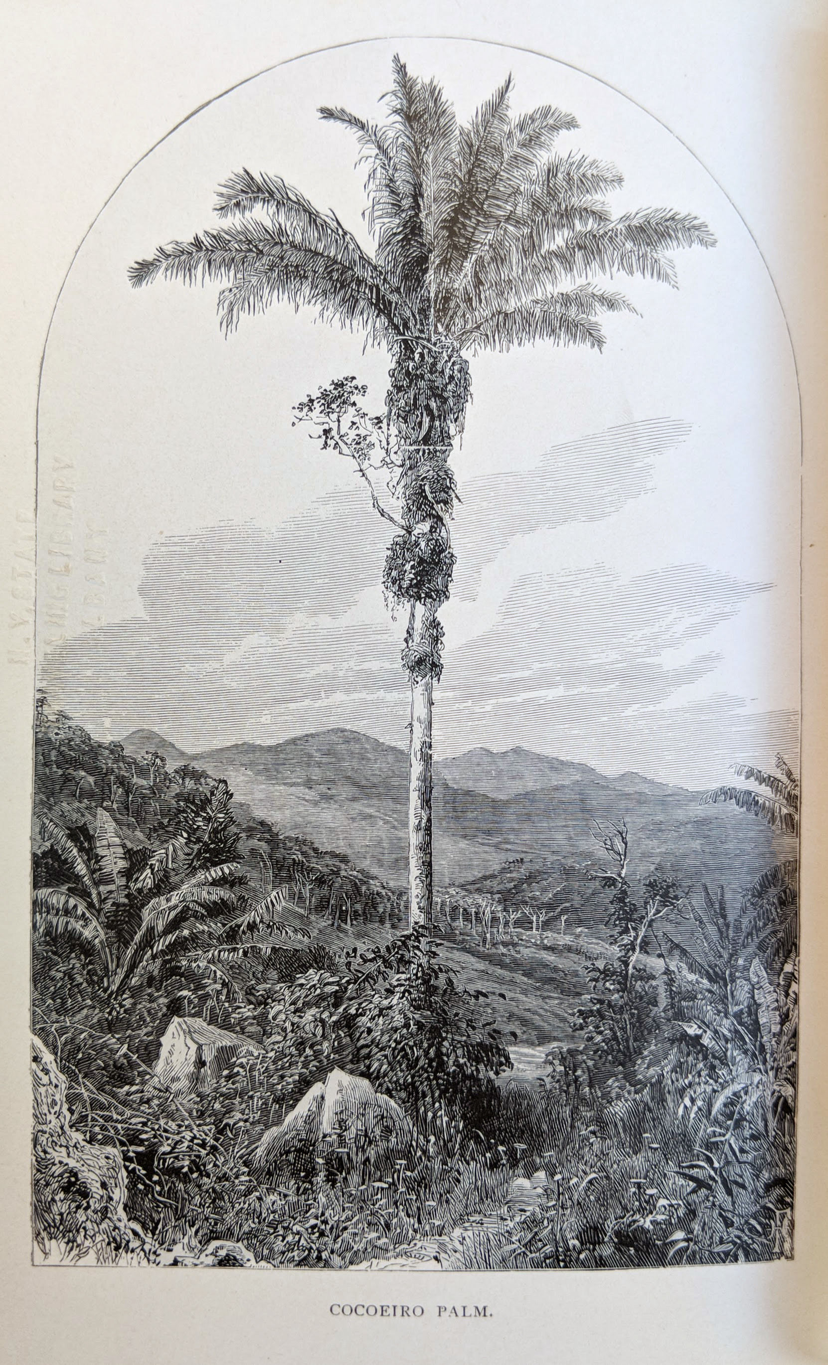 A Journey in Brazil. - AGASSIZ, Jean Louis Rodolphe (1807-1873); Elizabeth Cabot AGASSIZ (nee CARY) (1822-1907).