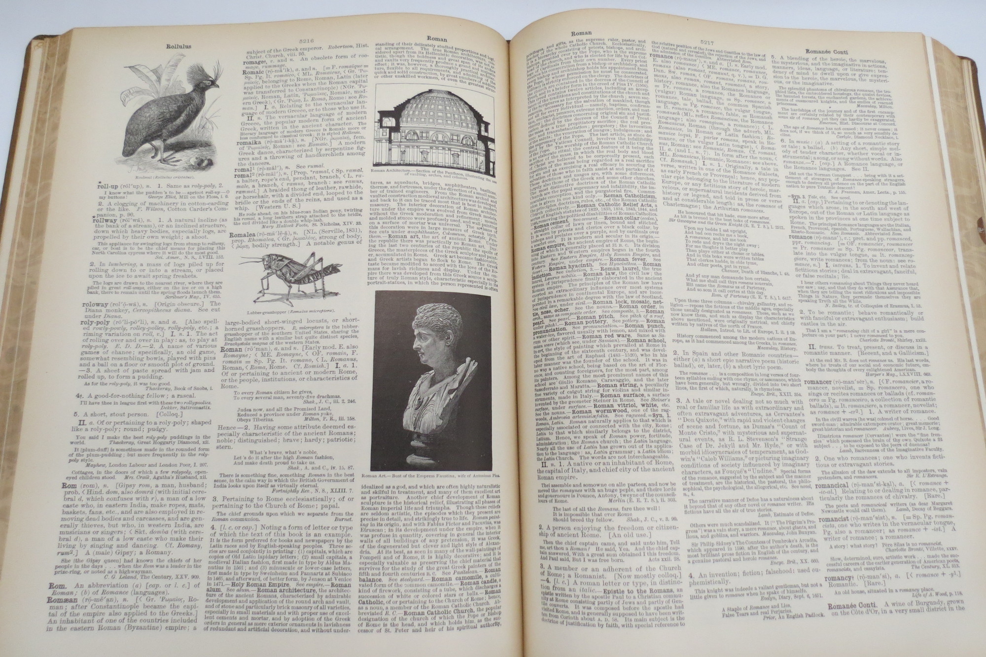 THE CENTURY DICTIONARY AND CYCLOPEDIA; AN ENCYCLOPEDIC