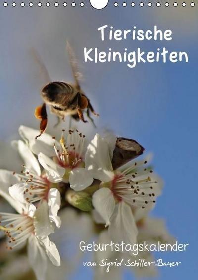 Tierische Kleinigkeiten / Geburtstagskalender (Wandkalender immerwährend DIN A4 hoch) : Kleine Tiere ganz groß - eine immerwährende Freude (Monatskalender, 14 Seiten) - Sigrid Schiller-Bauer