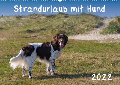 Strandurlaub mit Hund (Wandkalender 2022 DIN A2 quer) : Eine bunte Mischung vierbeiniger Standurlauber an der Nordsee (Monatskalender, 14 Seiten ) - Heidi Bollich