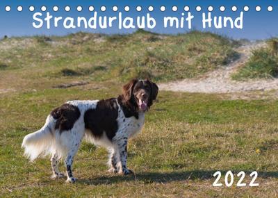 Strandurlaub mit Hund (Tischkalender 2022 DIN A5 quer) : Eine bunte Mischung vierbeiniger Standurlauber an der Nordsee (Monatskalender, 14 Seiten ) - Heidi Bollich