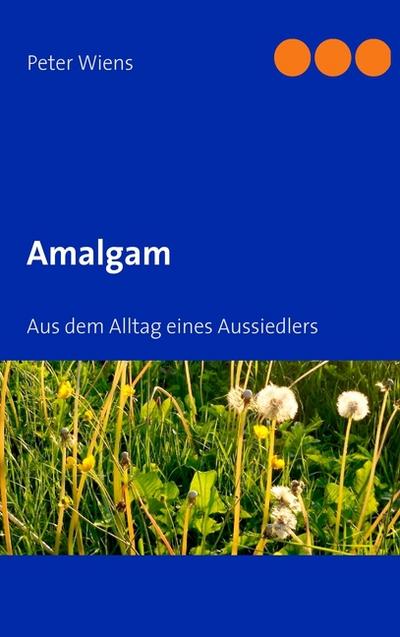 Amalgam : Aus dem Alltag eines Aussiedlers - Peter Wiens