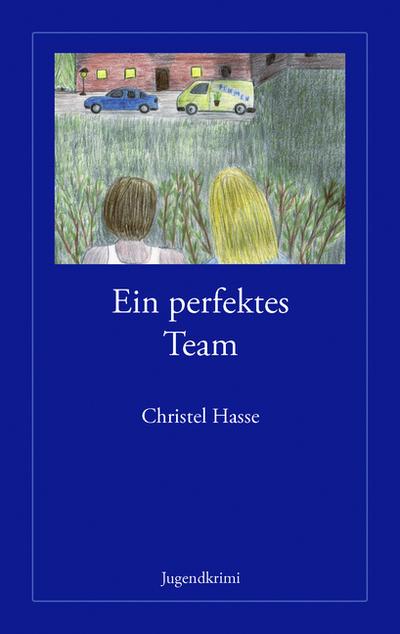 Ein perfektes Team : Jugendkrimi - Christel Hasse