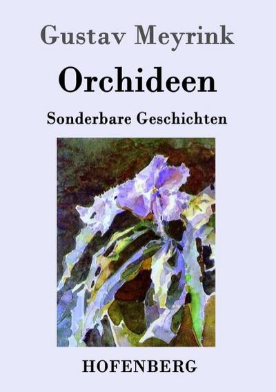 Orchideen : Sonderbare Geschichten - Gustav Meyrink