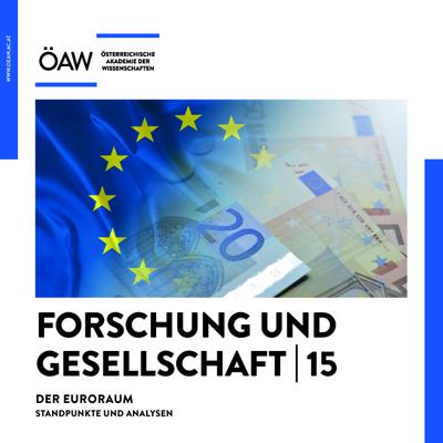 Der Euroraum : Standpunkte und Analysen - Oliver Jens Schmitt