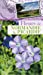 Fleurs de Normandie & Picardie [FRENCH LANGUAGE] Mass Market Paperback - COLLECTIF, Robert