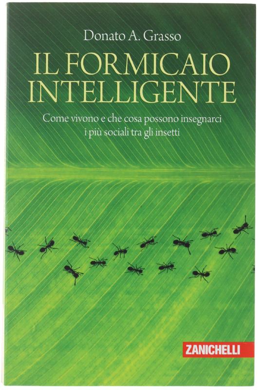 IL FORMICAIO INTELLIGENTE. Come vivono e che cosa possono insegnarci i più sociali tra gli insetti.: - Grasso Donato A.