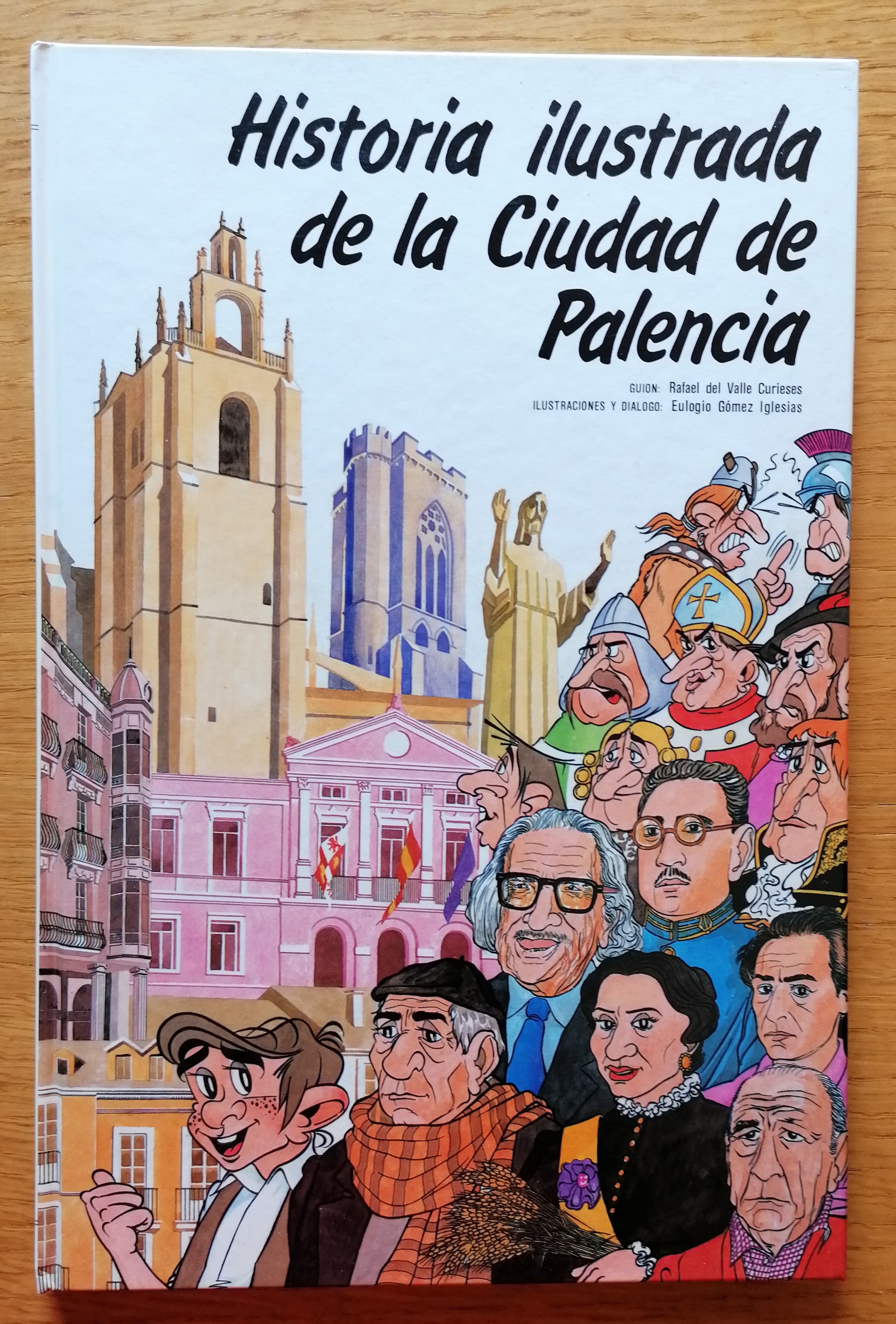 Historia ilustrada de la ciudad de Palencia - Rafael del Valle Curieses