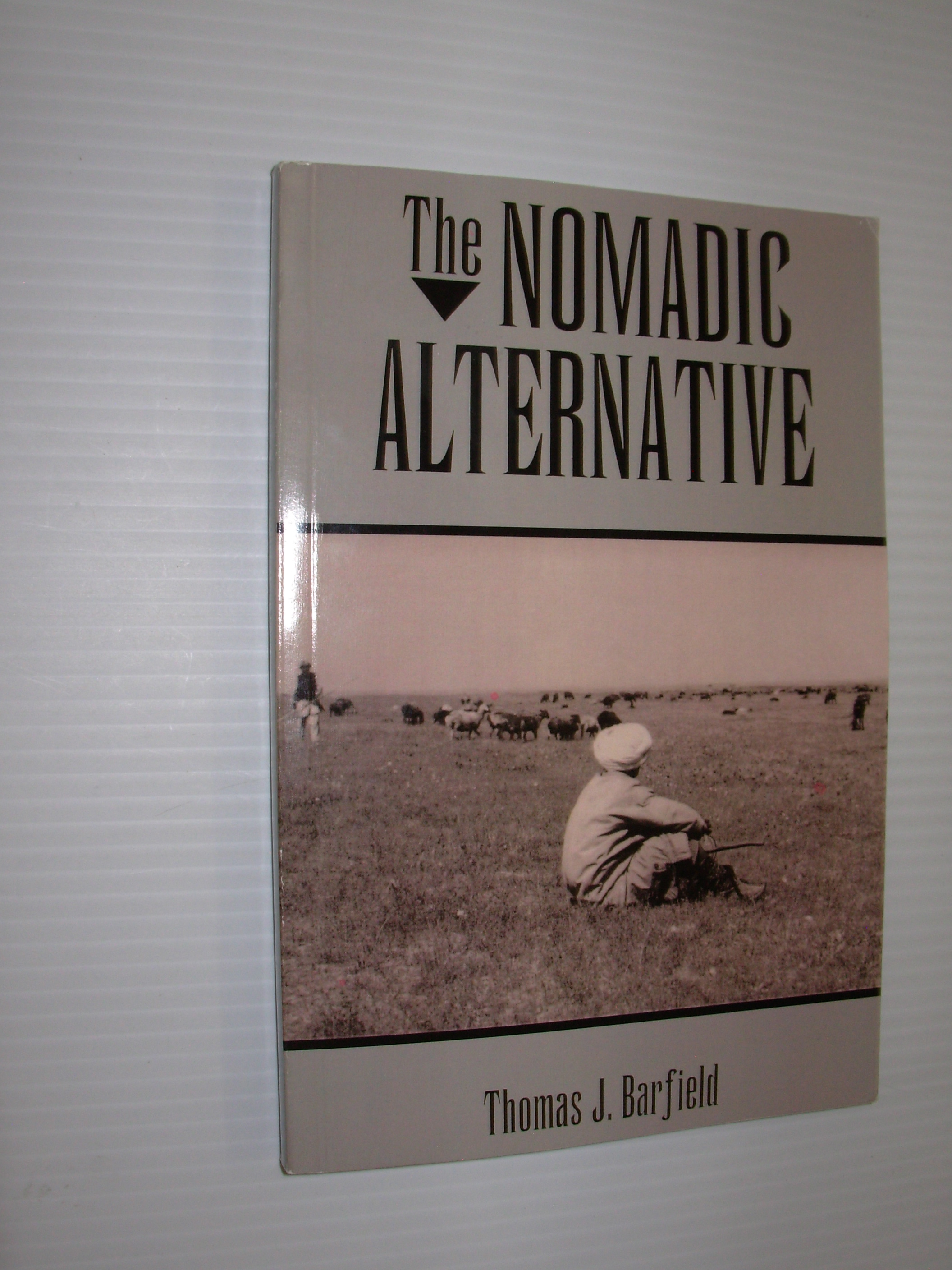 The Nomadic Alternative - Thomas J. Barfield