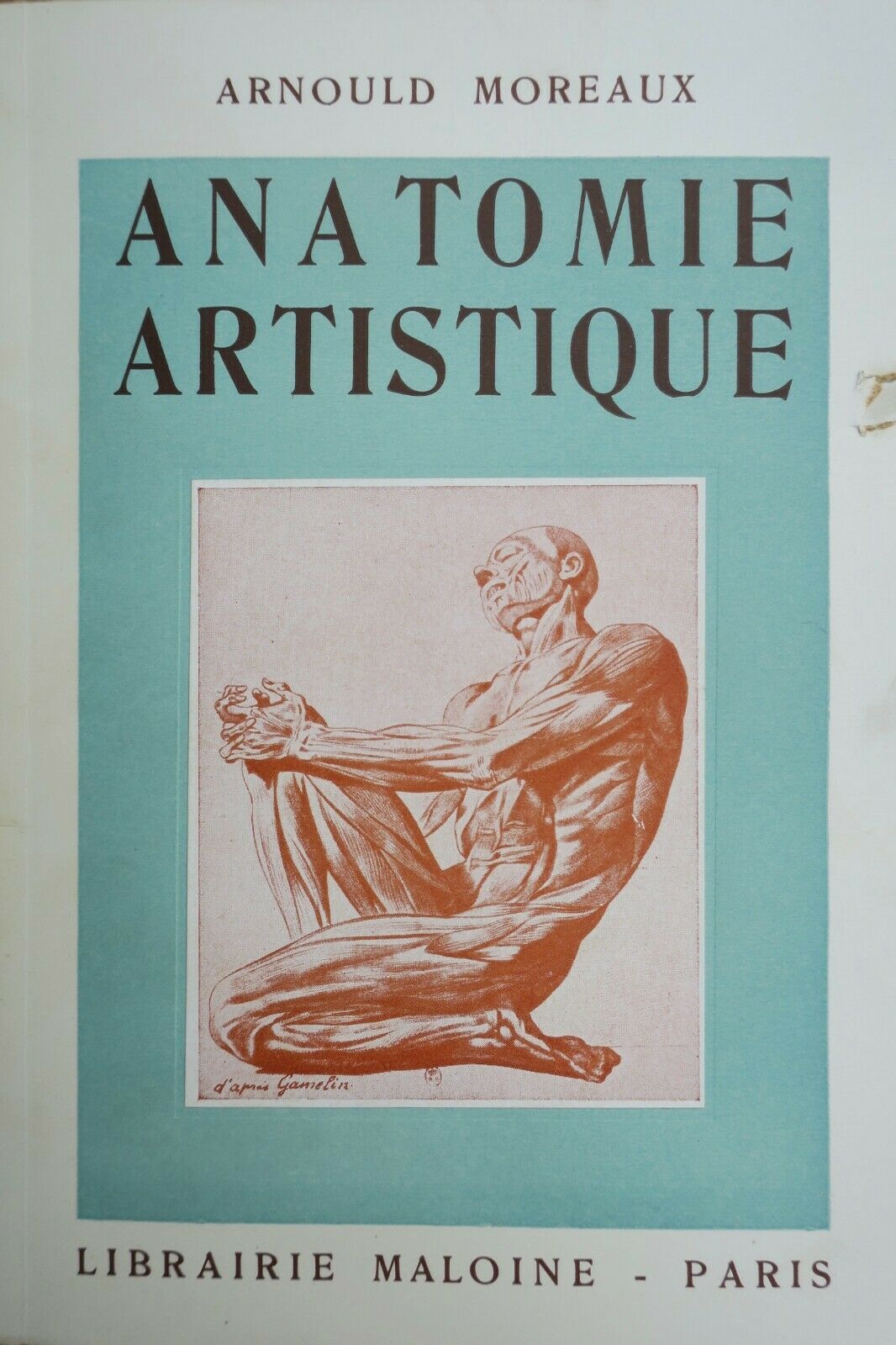 Anatomie Artistique Précis Danatomie Osseuse Et Musculaire 1947