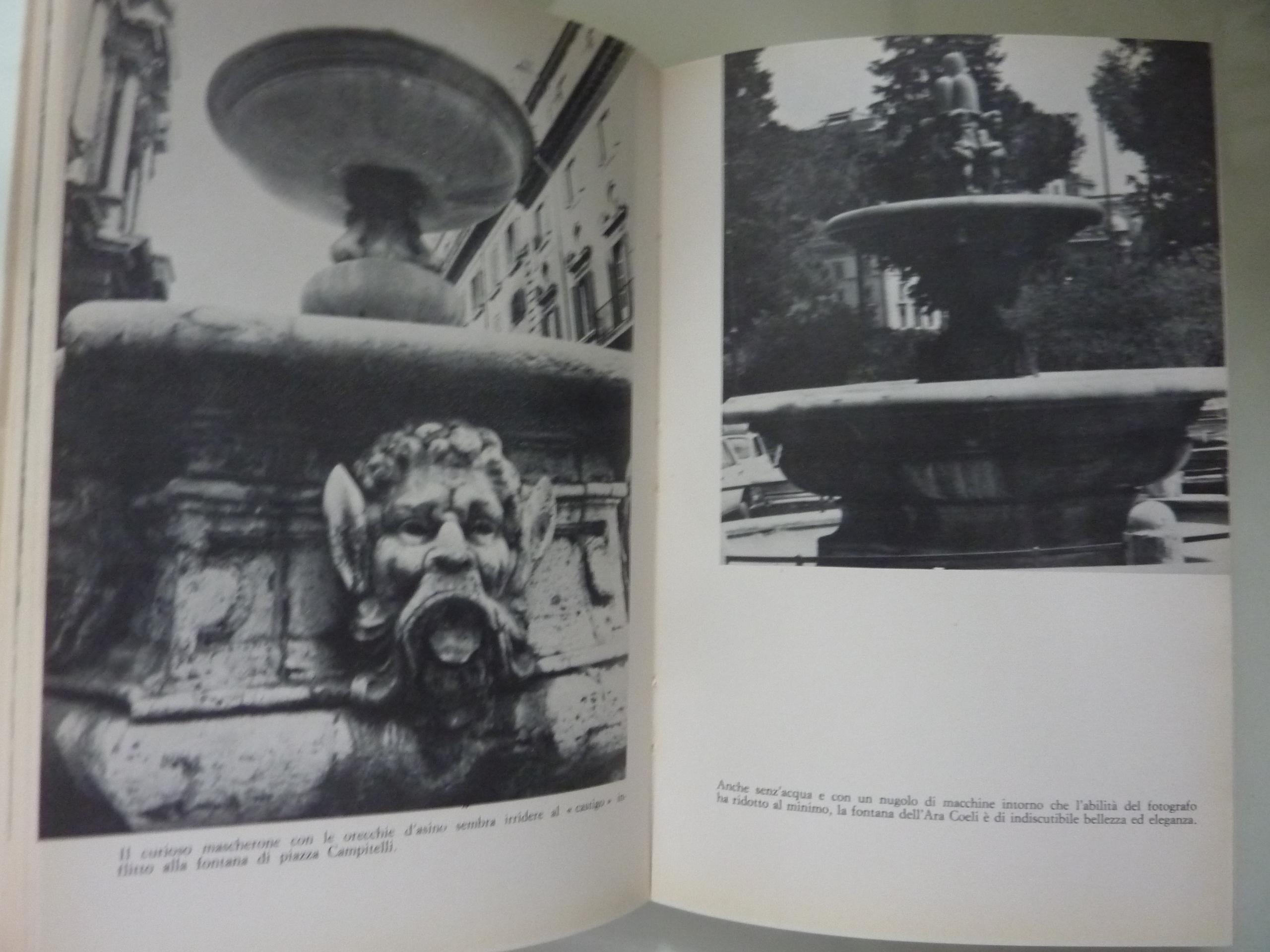 Abebooks Le fontane di Roma ( le fontane esterne )