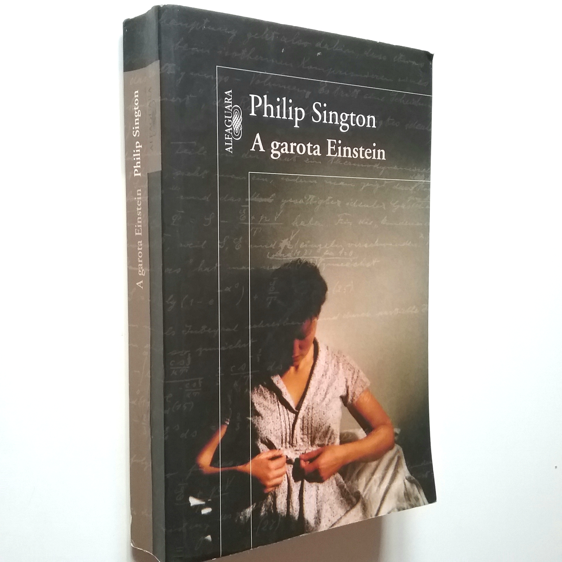 A garota Einstein - Philip Sington