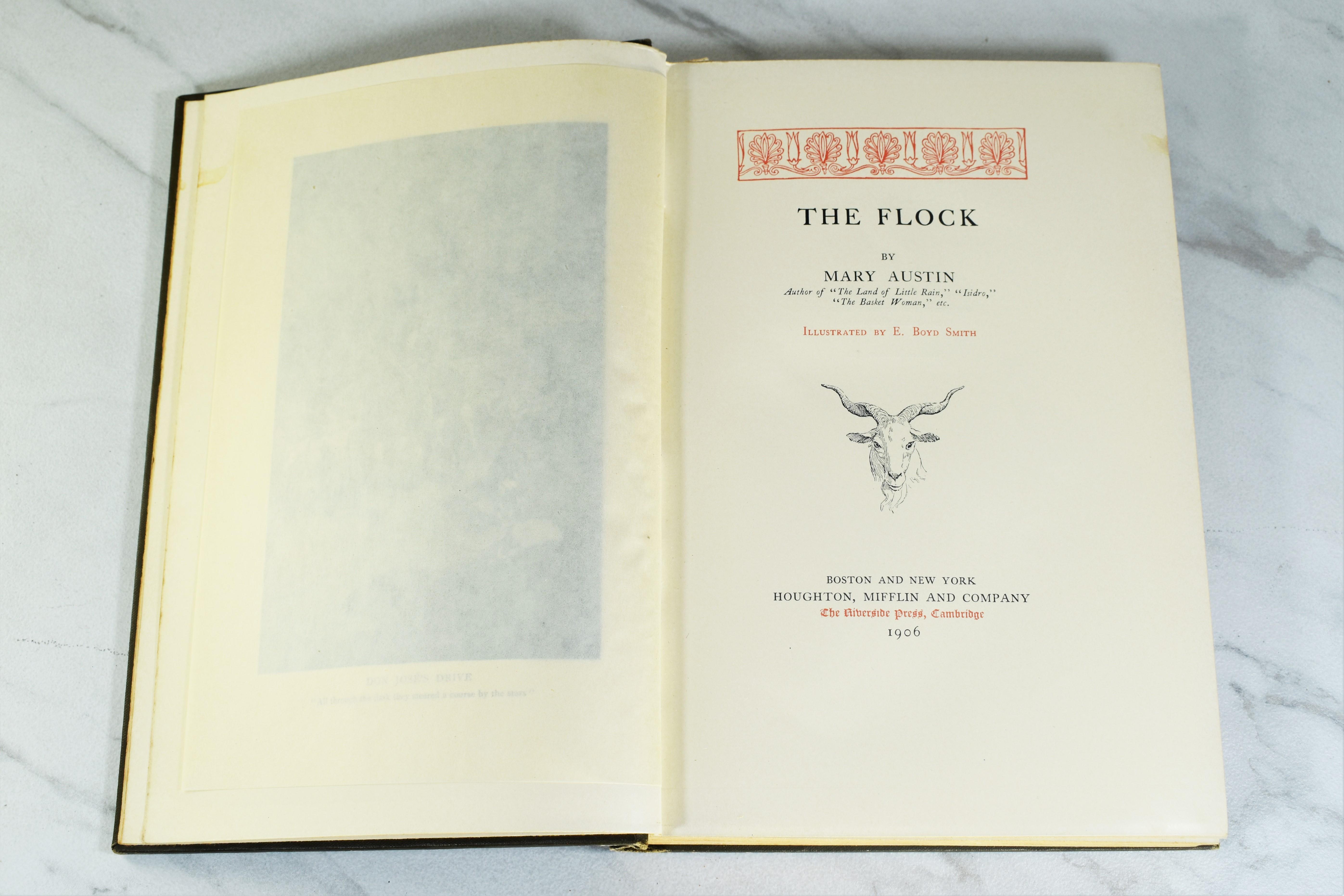 THE FLOCK by Mary Austin; Illustrated by E. Boyd Smith Very Good Hardcover (1906) 1st Edition