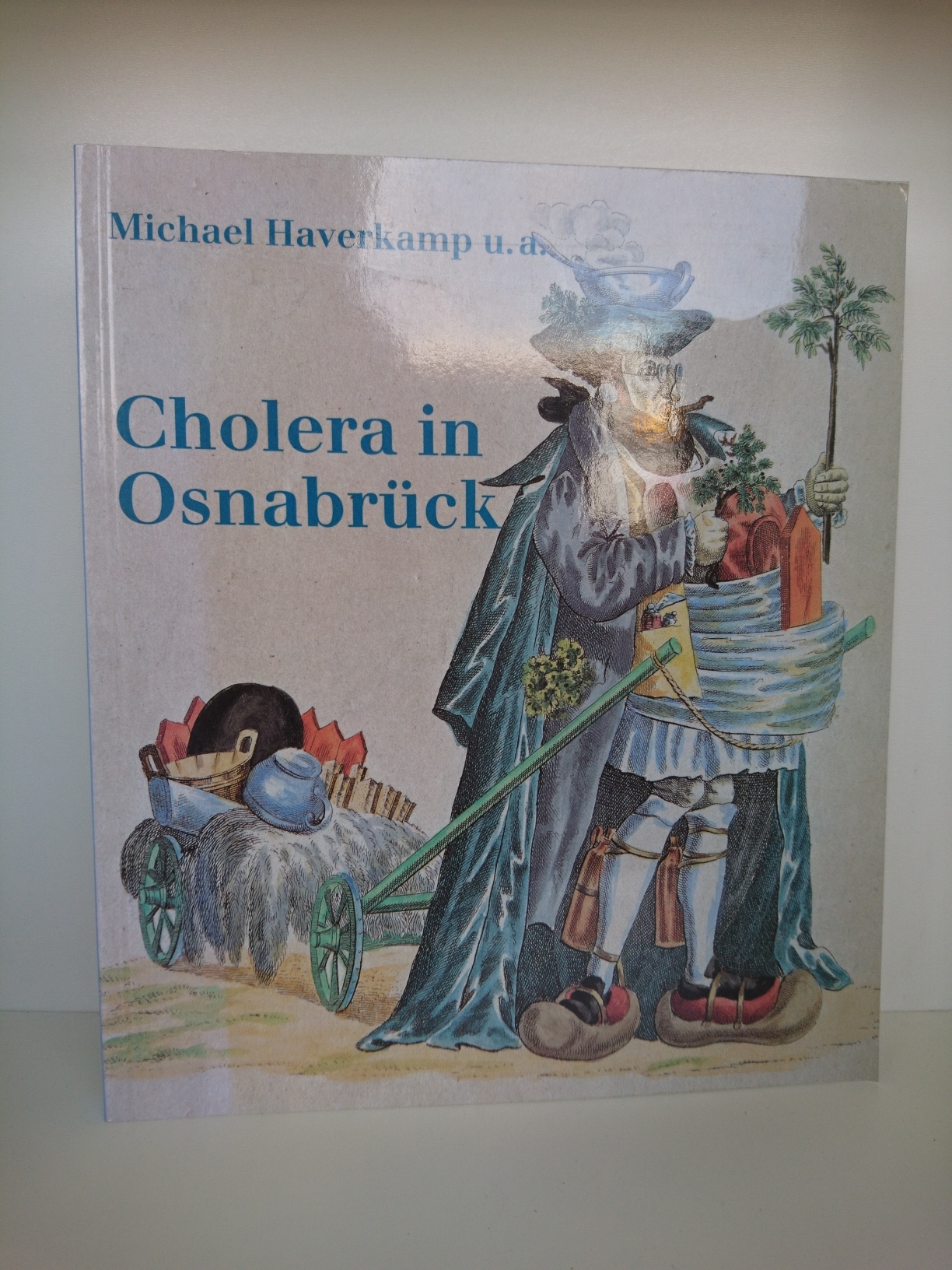 Cholera in Osnabrück Zur Problematik der städtischen Daseinsfürsorge im Industriezeitalter, [eine Ausstellung des Museums Industriekultur Osnabrück im Haseschachtgebäude 8. Oktober 1995 bis 25. Februar 1996] / Michael Haverkamp, Wolfgang Schlüter, Bodo Zehm - Michael Haverkamp