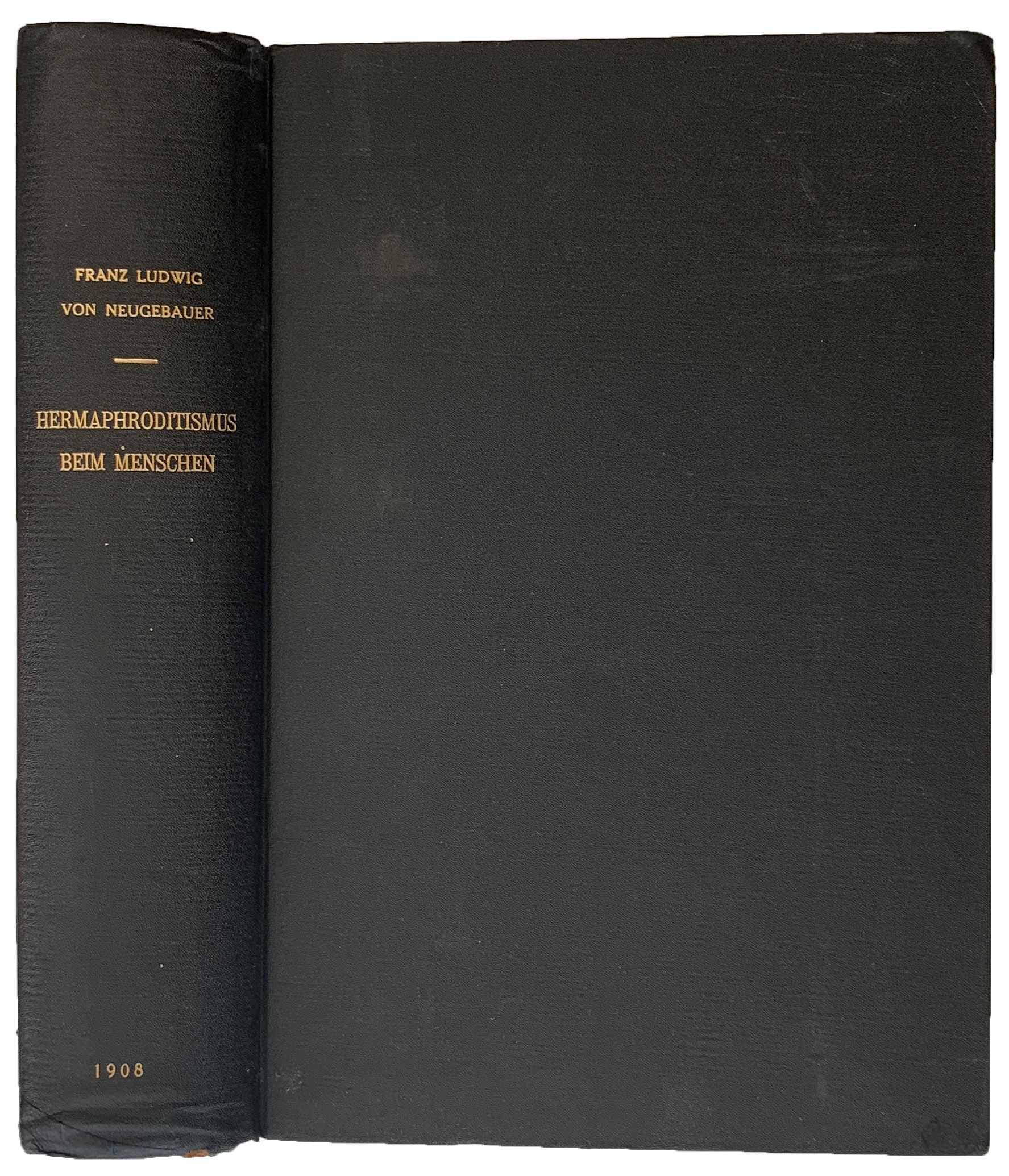 30971940484.jpg