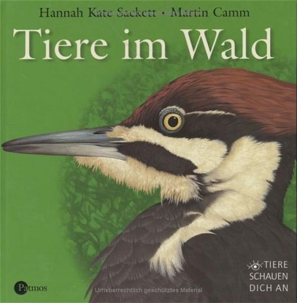 Tiere im Wald - Sackett Hannah, K. und Martin Camm