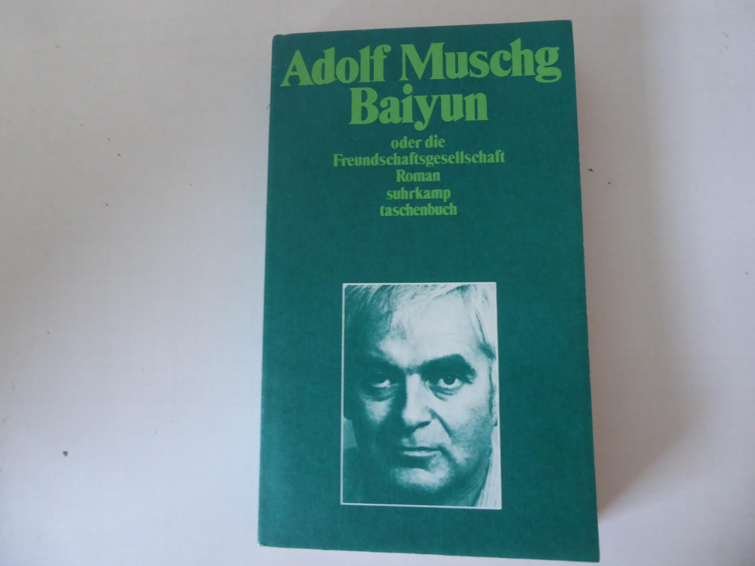 Baiyun oder die Freundschaftsgesellschaft. Roman. TB - Adolf Muschg