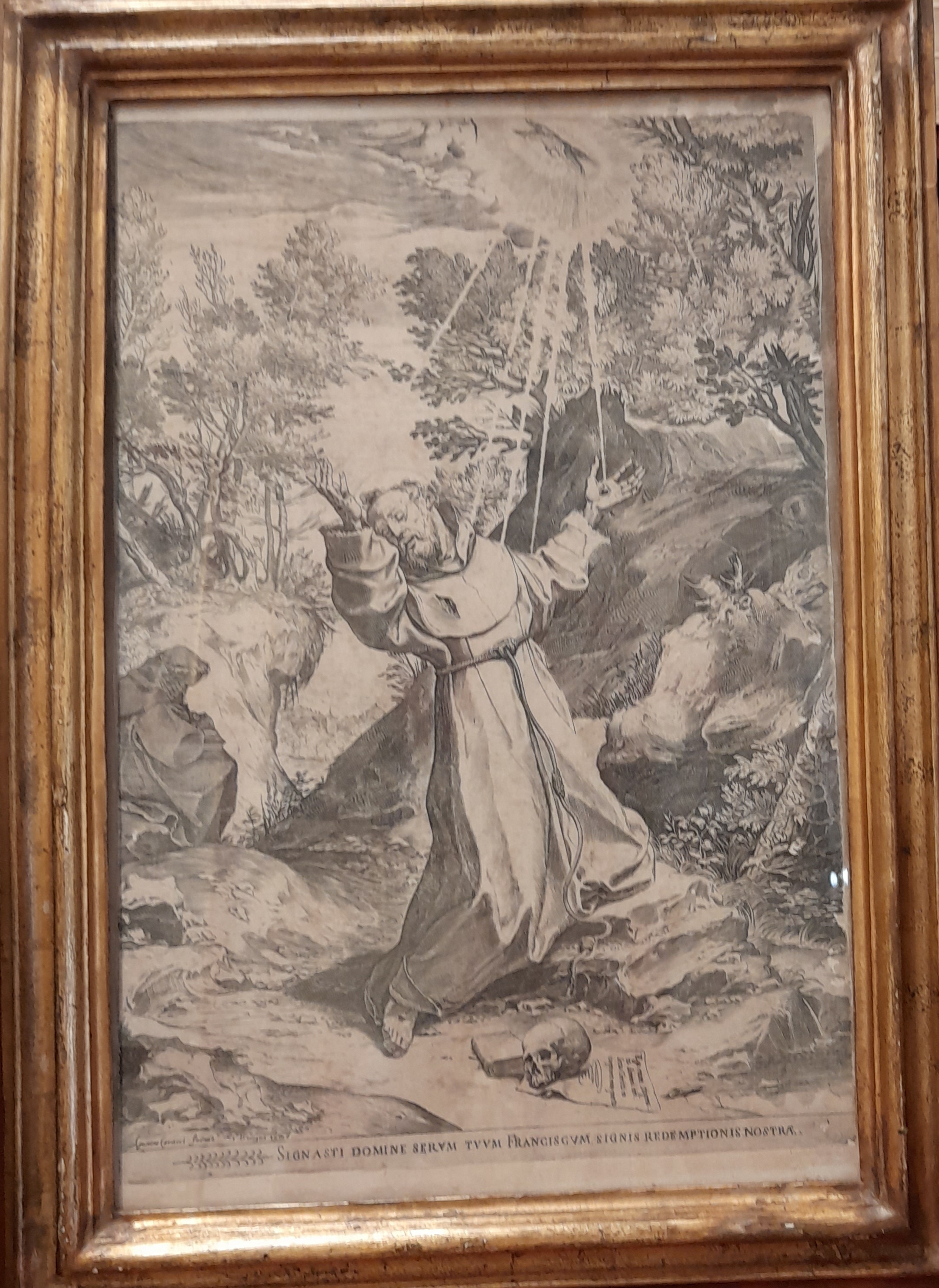 SIGNASTI DOMINE SERUM TUUM FRANCISCUM SIGNIS REDEMPTIONIS NOSTRAE. by