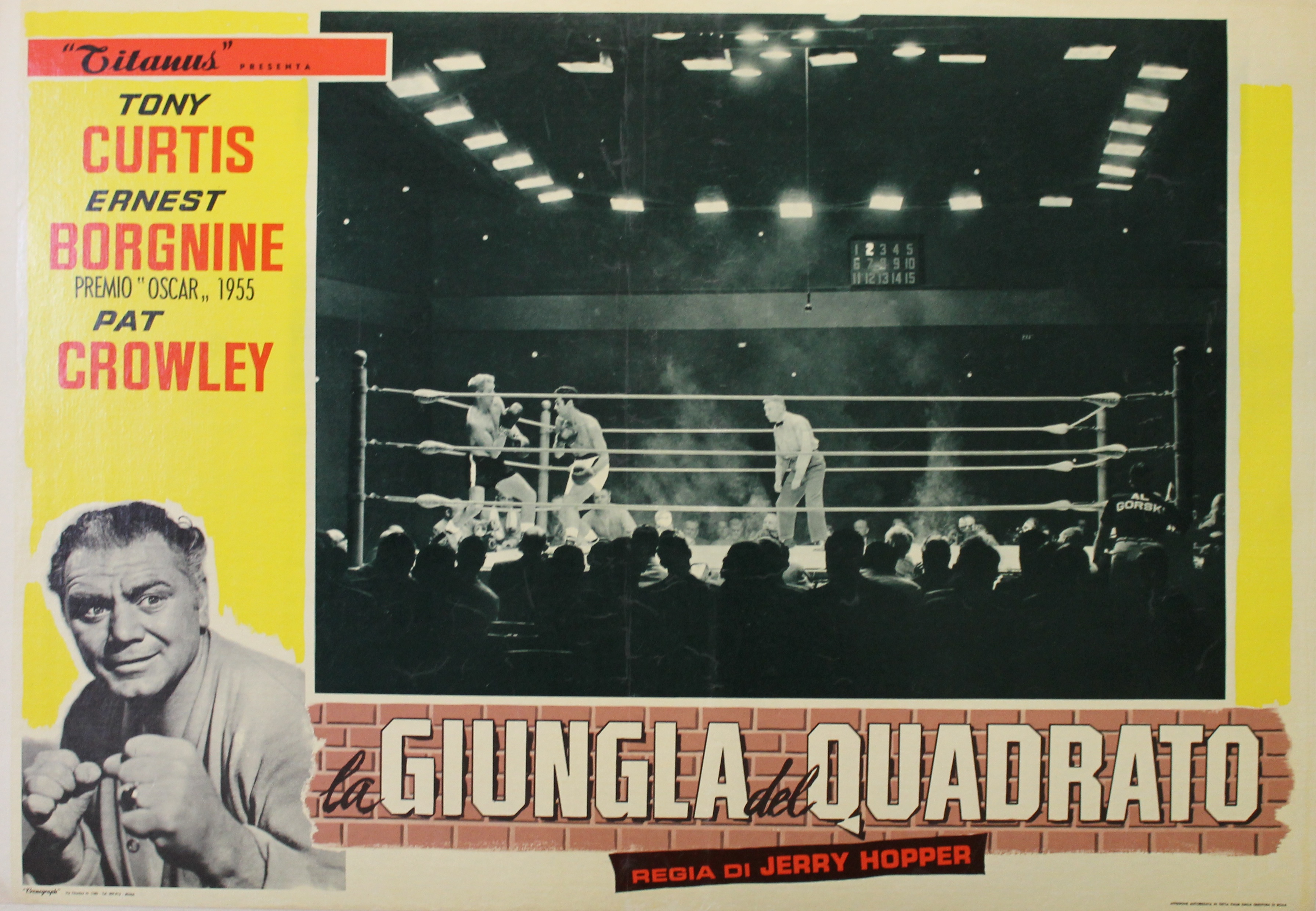 "LA JUNGLE DES HOMMES (THE SQUARE JUNGLE)" LA GIUNGLA DEL QUADRATO / Réalisé par Jerry HOPPER en 1955 avec Tony CURTIS, Ernest BORGNINE, Pat CROWLEY