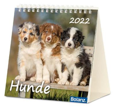 Hunde, Postkartenkalender 2012 : Wunderbare Schöpfung. Mit Bibelversen