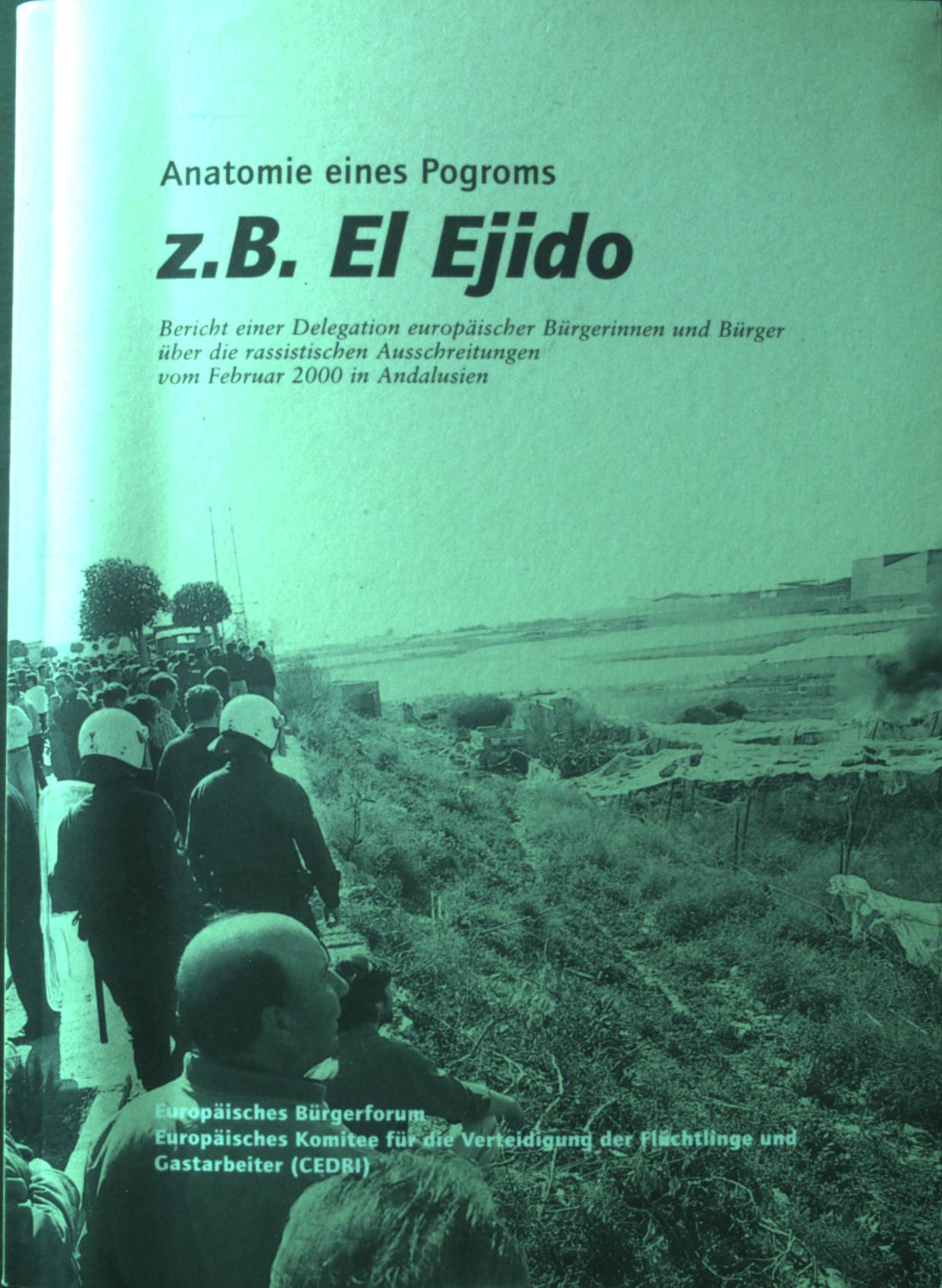 Anatomie eines Pogroms, z.B. El Ejido: Bericht einer Delegation europäischer Bürgerinnen und Bürger über die rassisistischen Ausschreitungen vom Februar 2000 in Andalusien.