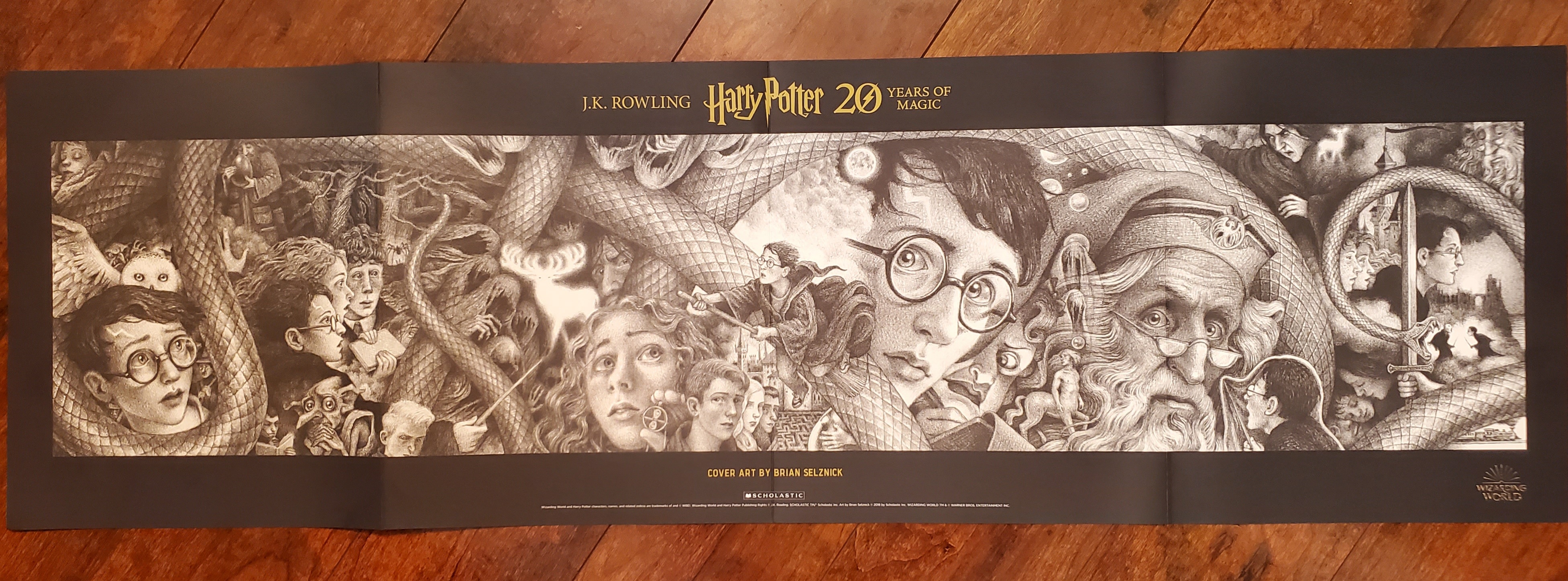 Harry Potter 20th Anniversary Special Edition Box Set