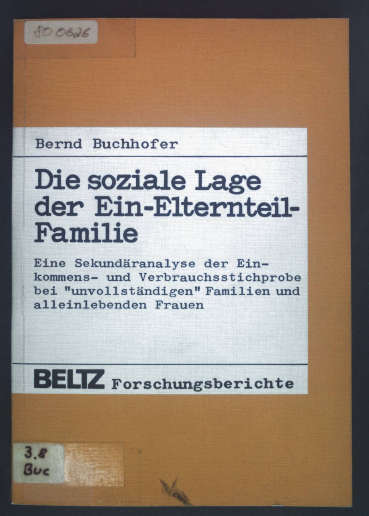 Die soziale Lage der Ein-Elternteil-Familie : eine Sekundäranalyse des Einkommens- und Verbrauchsstichprobe bei 