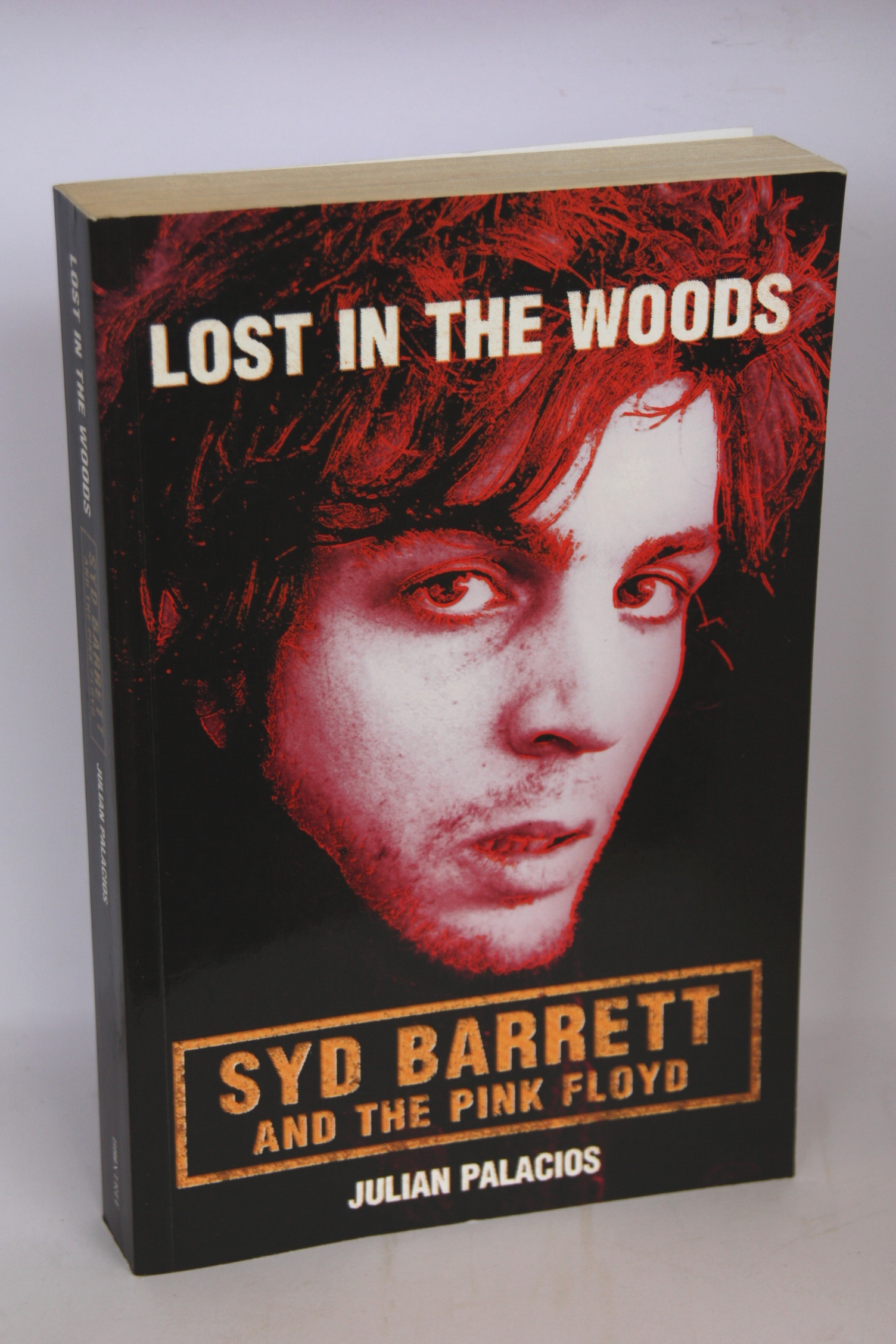 Lost in the Woods Syd Barrett and the Pink Floyd - Julian Palacios