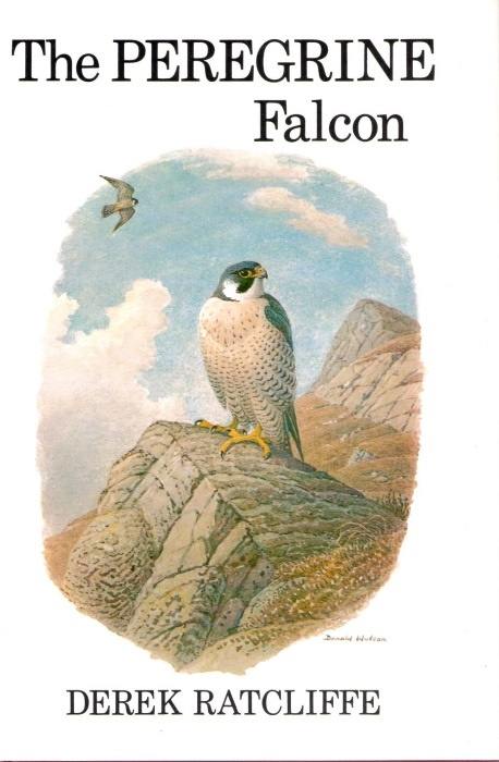 The Peregrine Falcon - Ratcliffe, D.