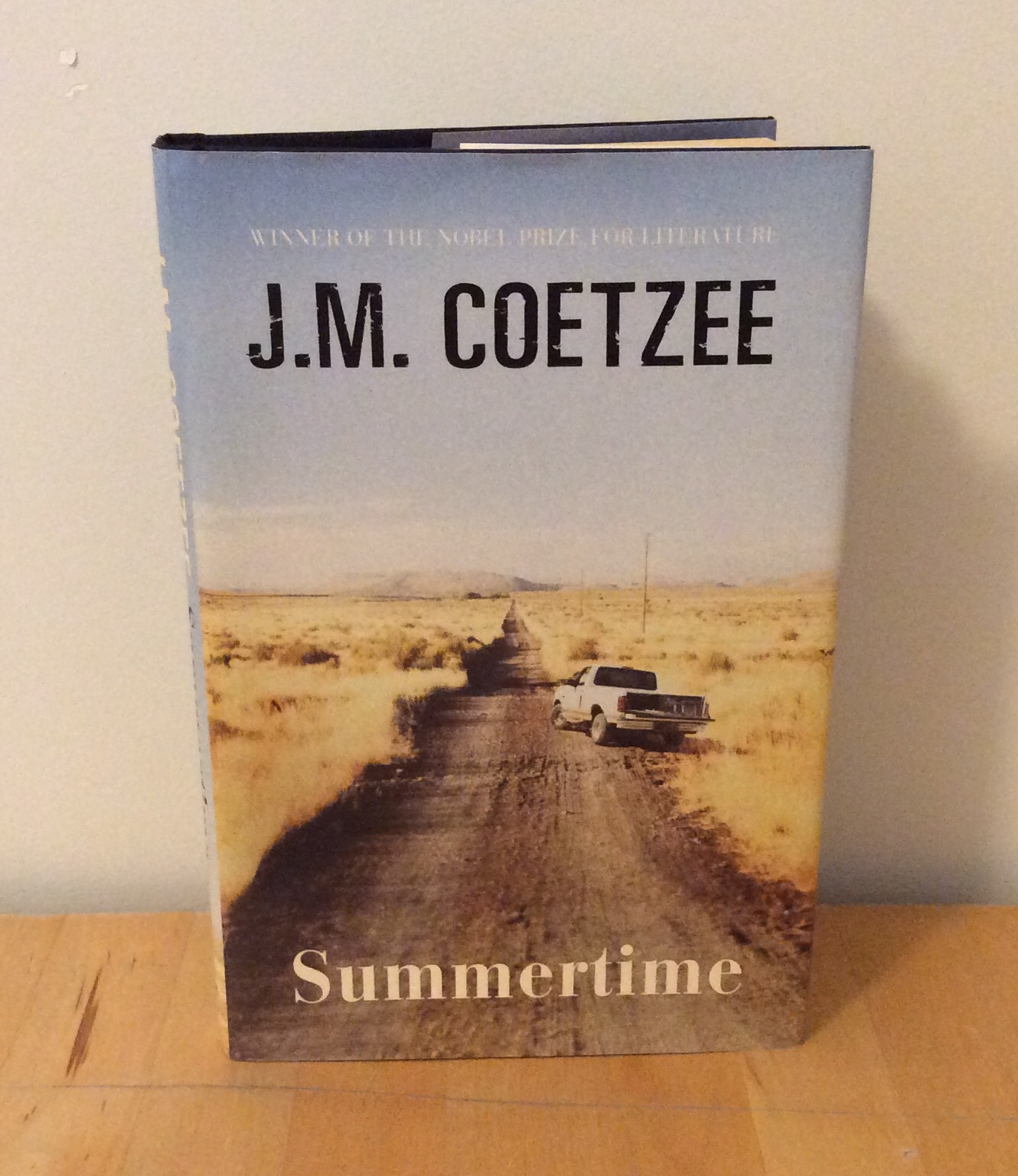 Summertime : Scenes from Provincial Life - Coetzee, J. M.