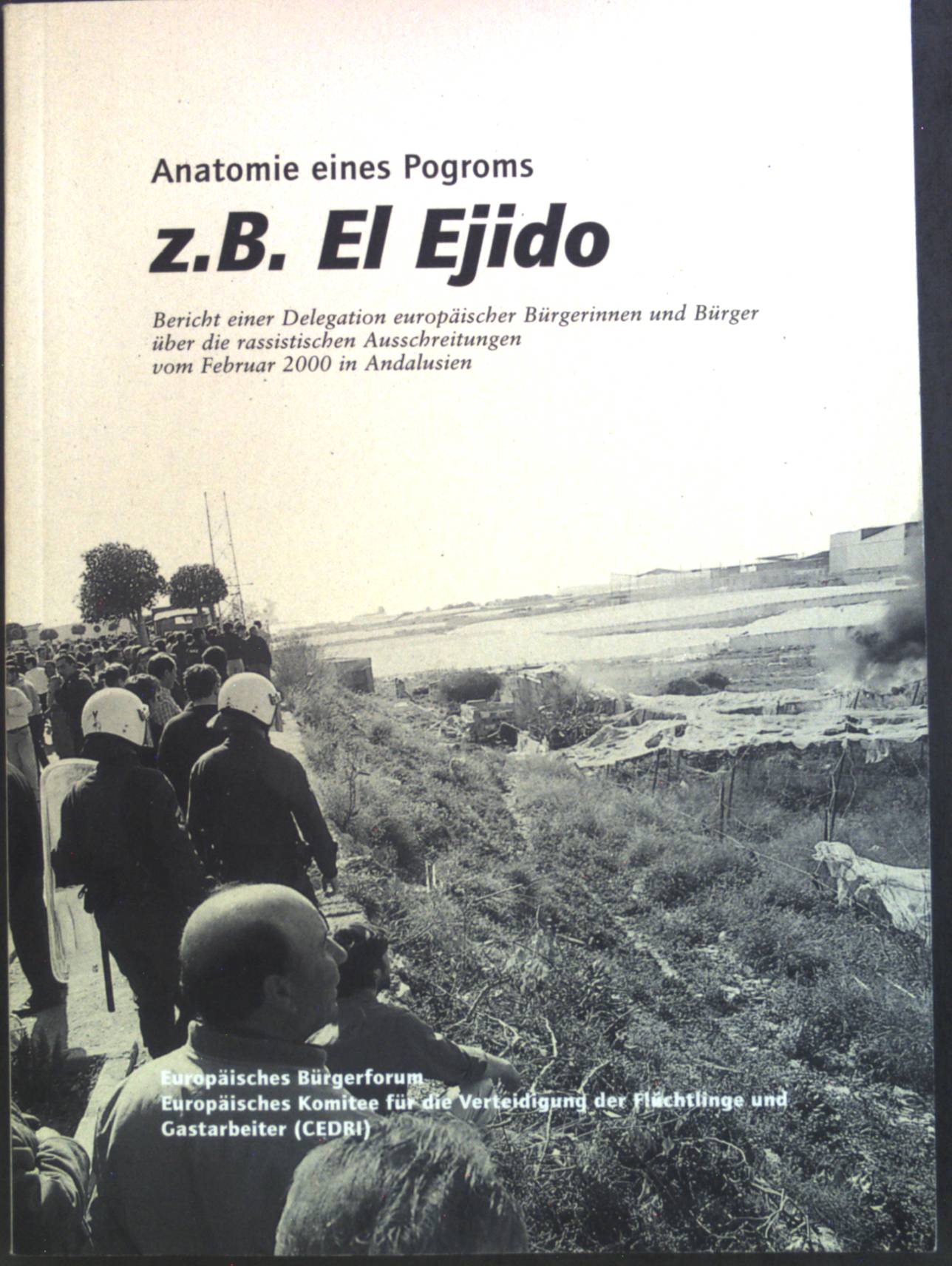 Anatomie eines Pogroms, z.B. El Ejido : Bericht einer Delegation europäischer Bürgerinnen und Bürger über die rassisistischen Ausschreitungen vom Februar 2000 in Andalusien.