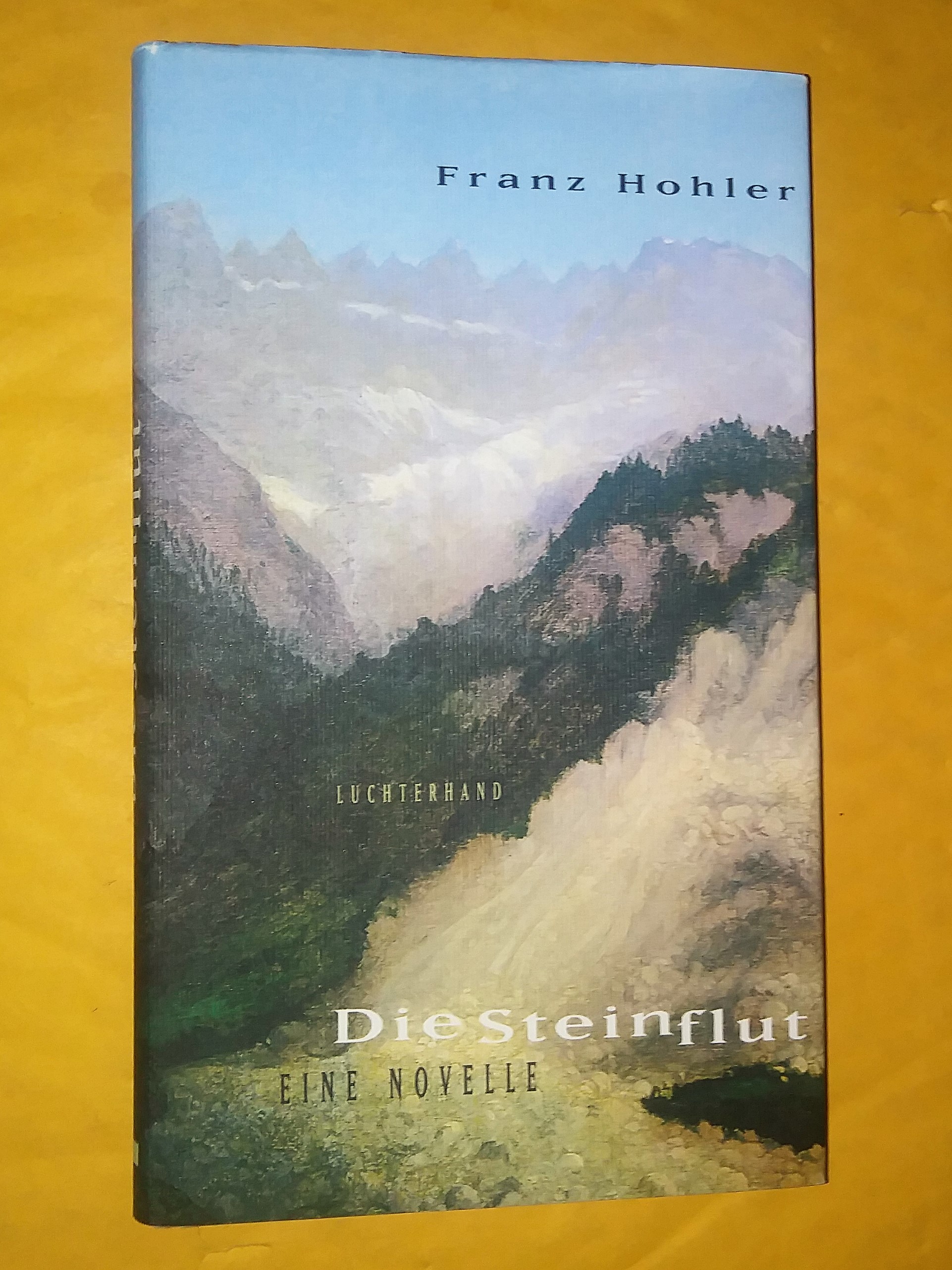 Die Steinflut: Eine Novelle - Franz Hohler