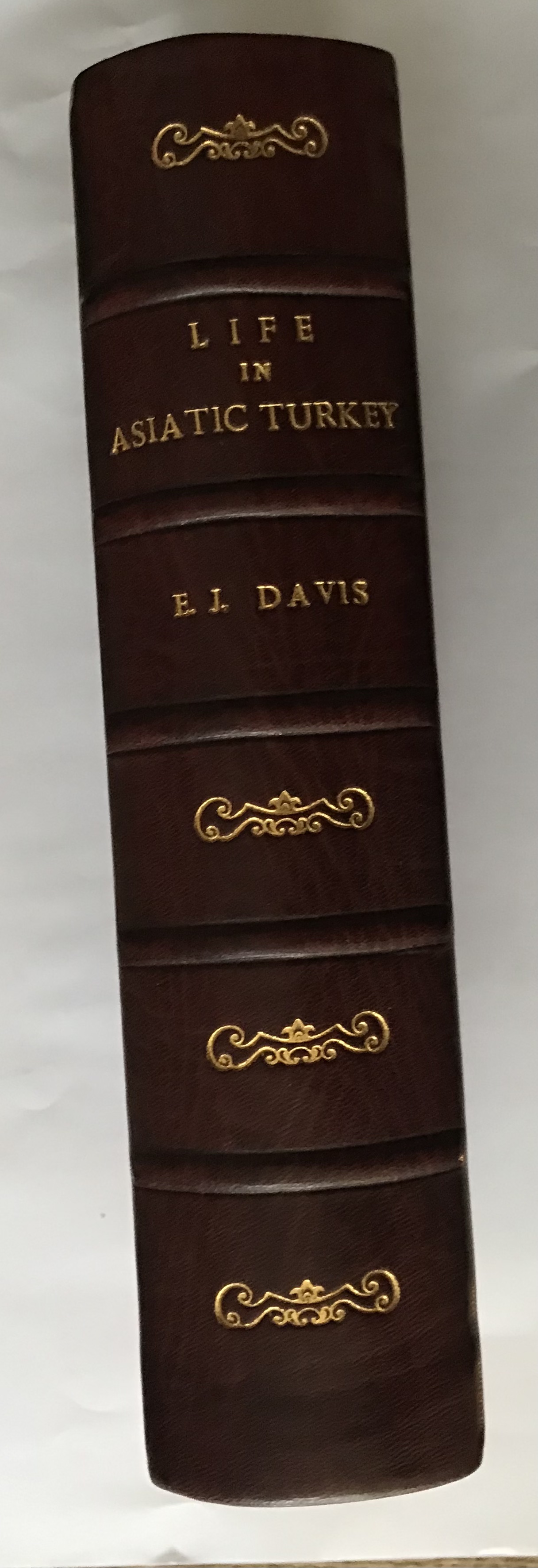 Life in Asiatic Turkey. A Journal of Travel in Cilicia (Pedias and Trachoea), Isauria, and parts of Lycaonia and Cappadocia. - DAVIS, Rev. E. J.