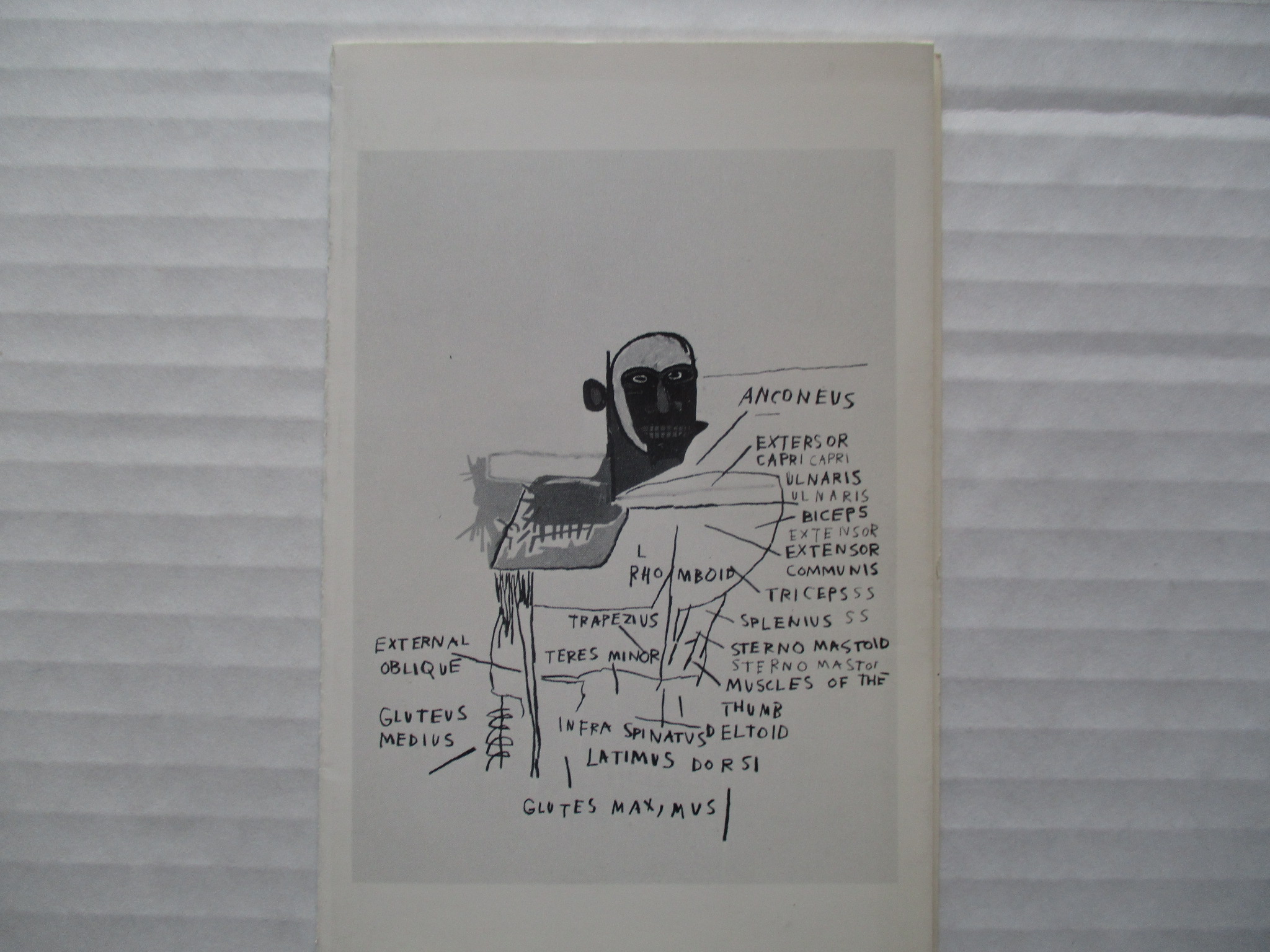 Jean-michel Basquiat, Used - AbeBooks