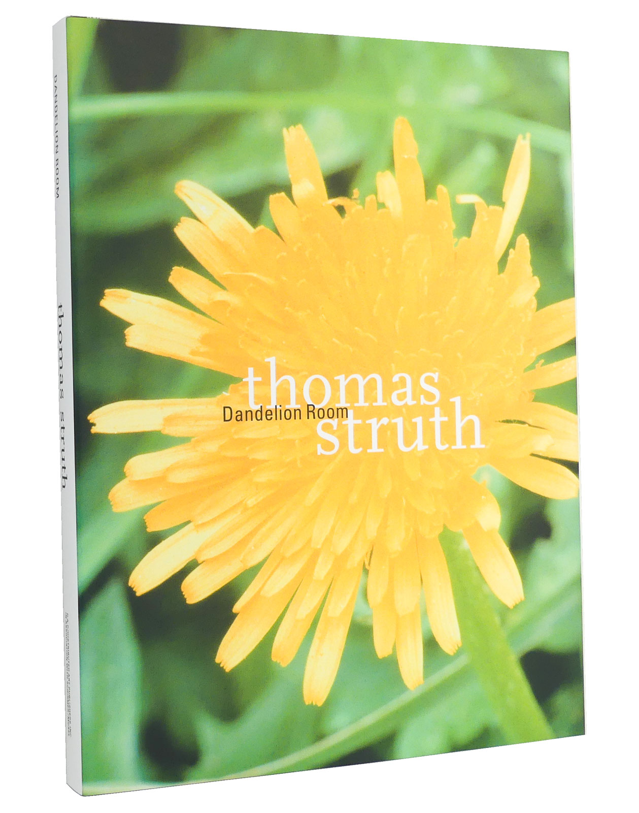 Thomas Struth - Dandelion Room : With an Essay by Dieter Schwarz - Struth, Thomas [Künstler]; Schwarz, Dieter