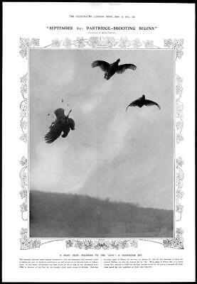 1911 Antique Print - OCEANIA Solomon Islands Spiders Web Bait Kites Hardy  (323)