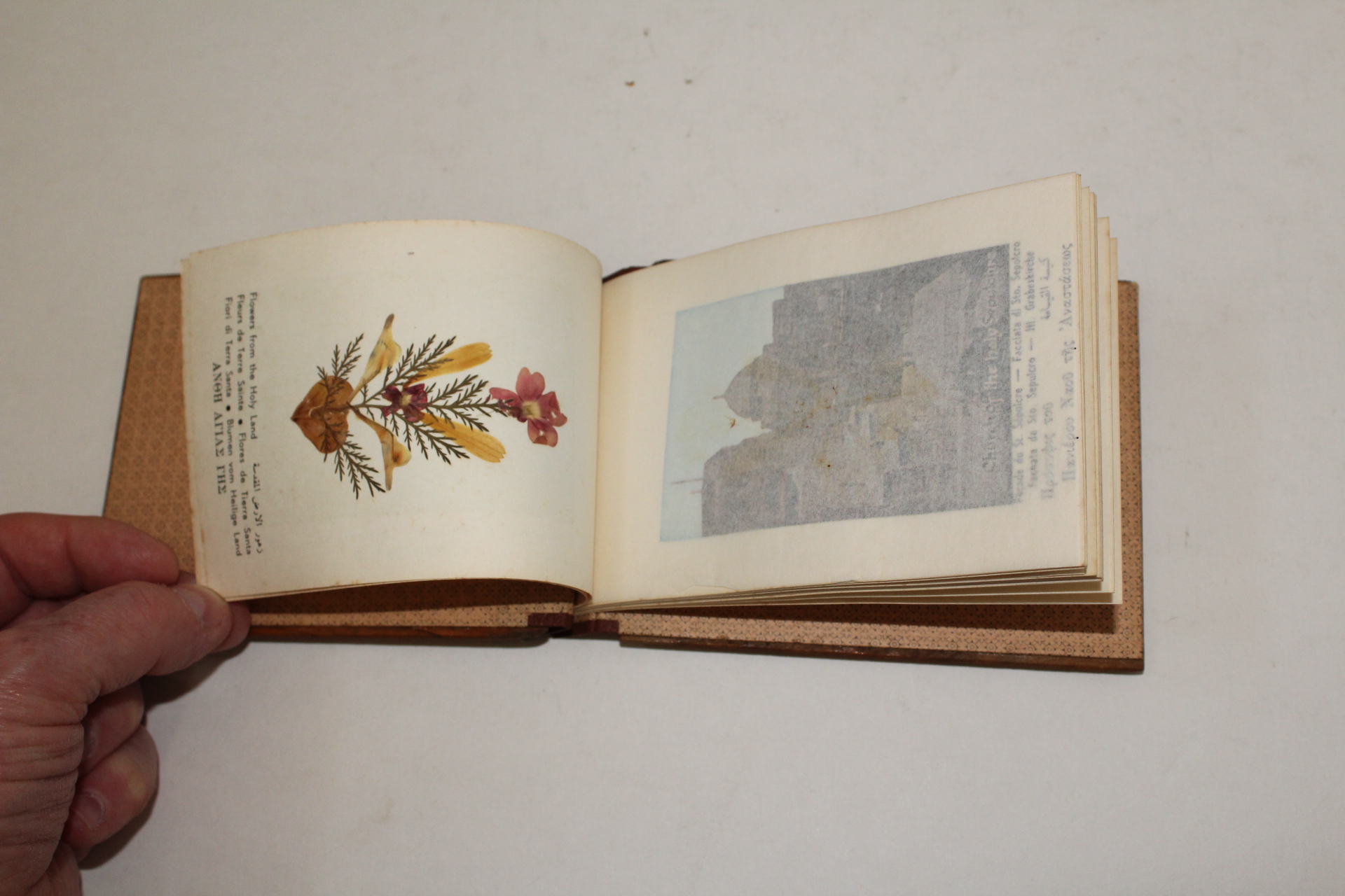 THE HOLY LAND. JERUSALEM. Views and Pressed Wild Flowers of the Holy