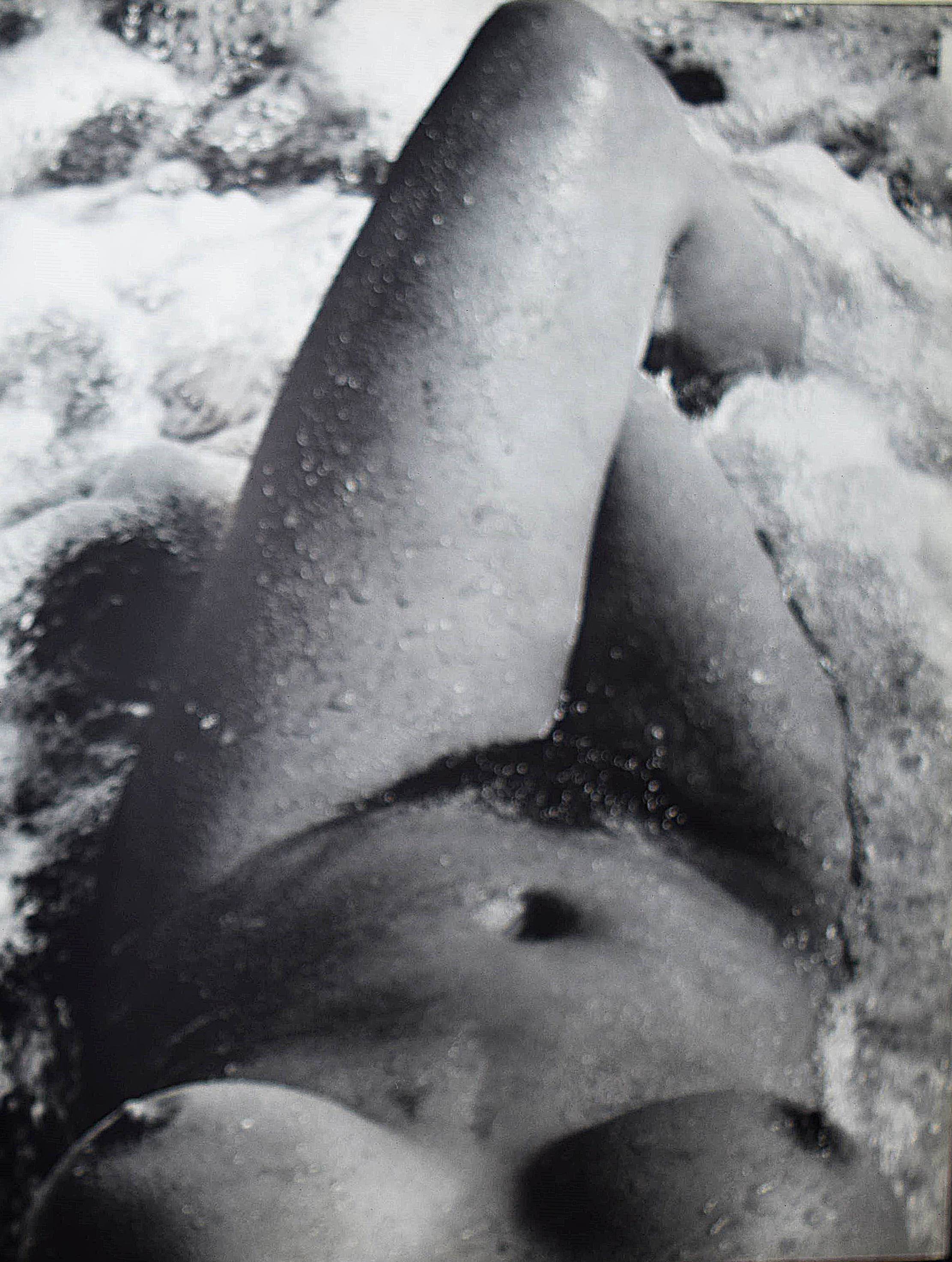 Née de la vague. by Clergue, Lucien (1968) Antiquariat Haufe & Lutz