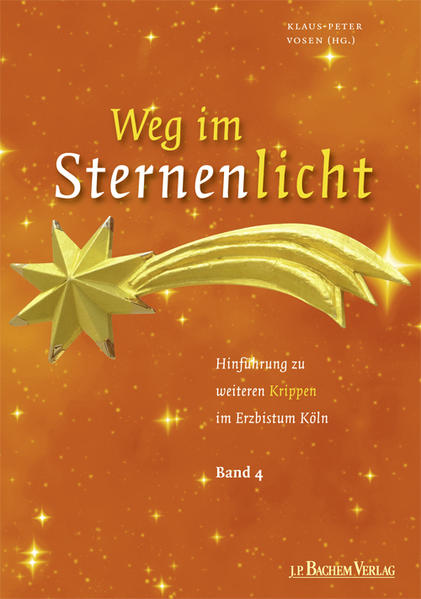 Weg im Sternenlicht Band 4 - Vosen, Klaus-Peter