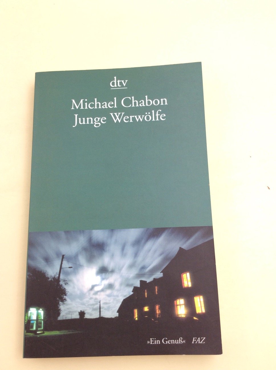 Junge Werwölfe: Erzählungen (dtv Fortsetzungsnummer 10, Band 13589) - Chabon, Michael