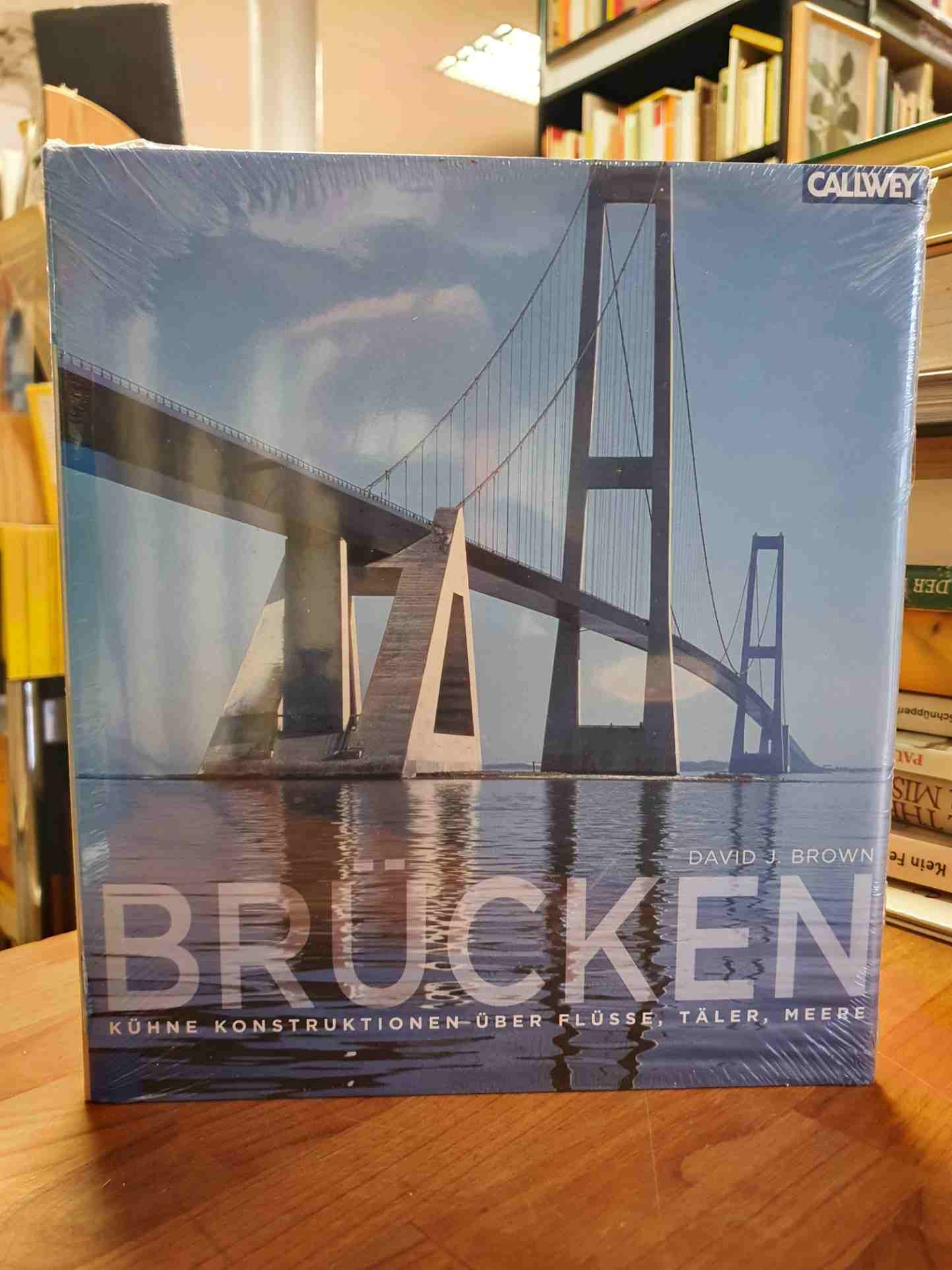 Brücken - Kühne Konstruktionen über Flüsse, Täler, Meere, - Brown, David J.,