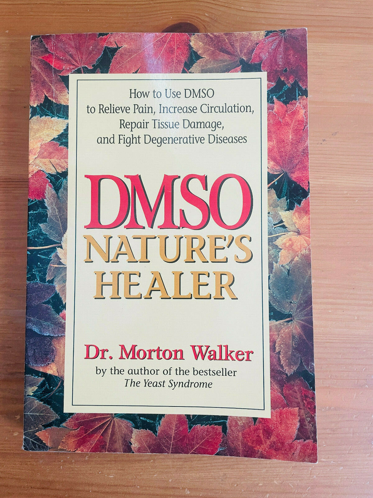commentaar saai Verstenen Dmso: Nature's Healer Dmso by Dr. Morton Walker: Good Paperback (1992) |  PorterMonkey Books