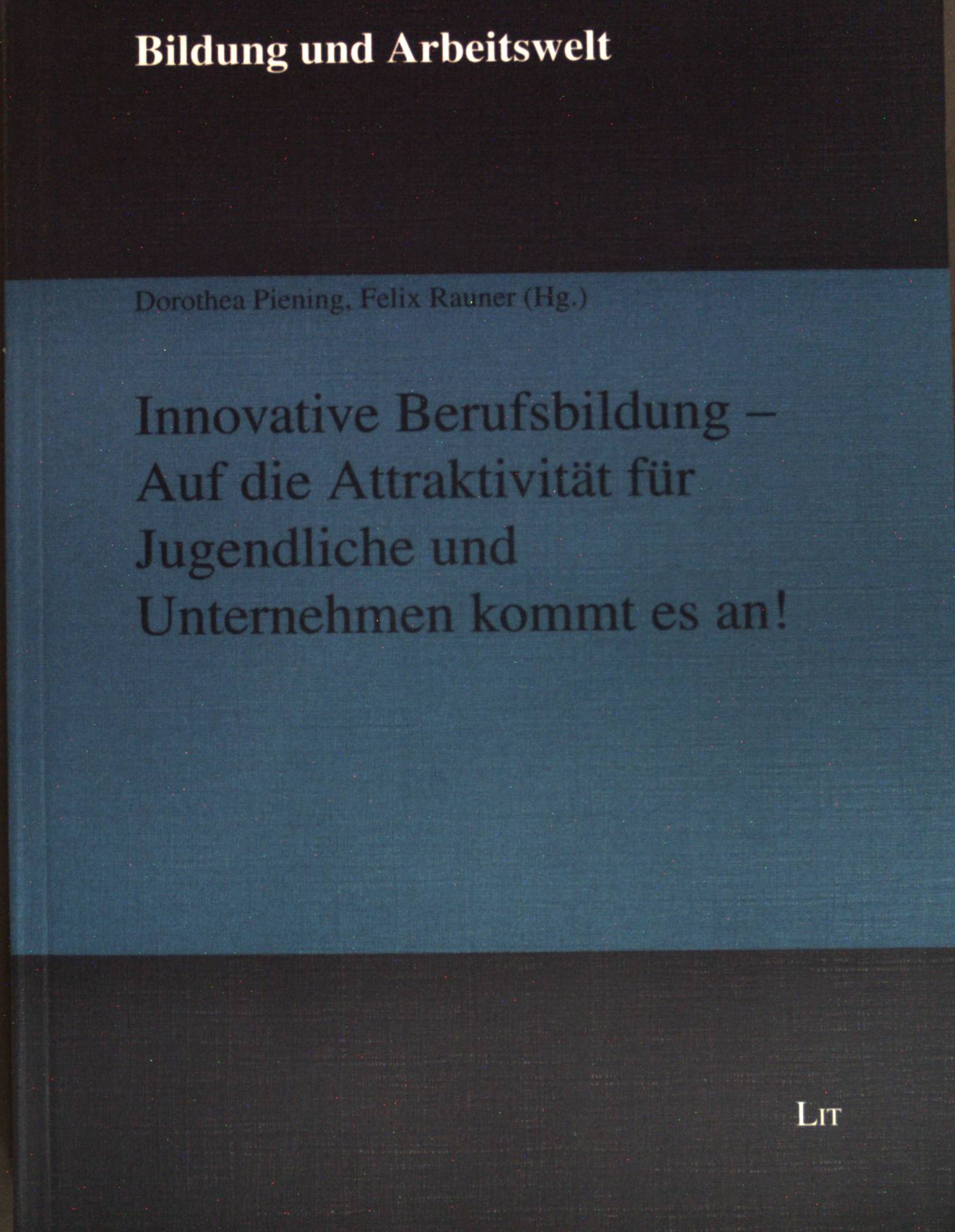 Innovative Berufsbildung - auf die Attraktivität für Jugendliche und Unternehmen kommt es an!. Bildung und Arbeitswelt ; Bd. 19 - Piening, Dorothea und Felix Rauner