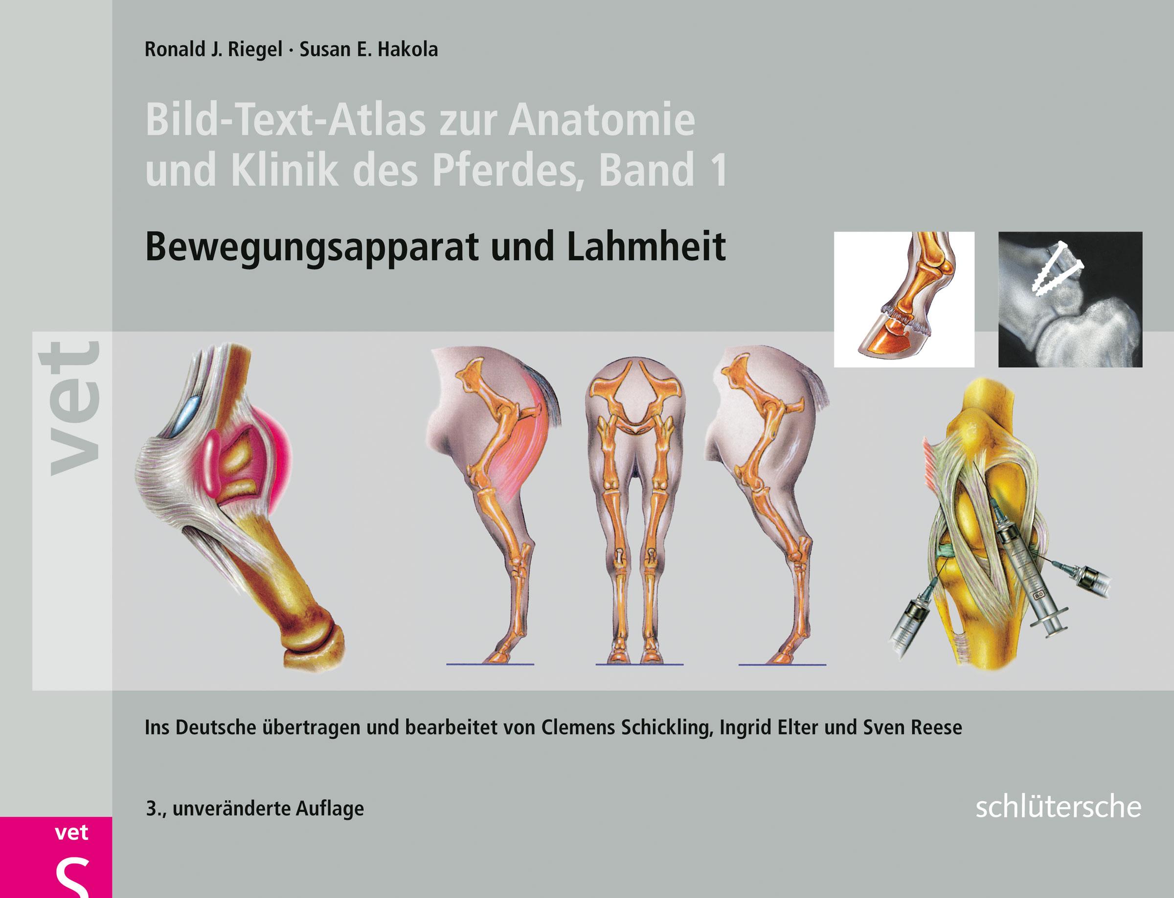 Bild-Text-Atlas zur Anatomie und Klinik des Pferdes - Riegel, Ronald J.|Hakola, Susan E.|Schickling, Clemens|Elter, Ingrid|Reese, Sven