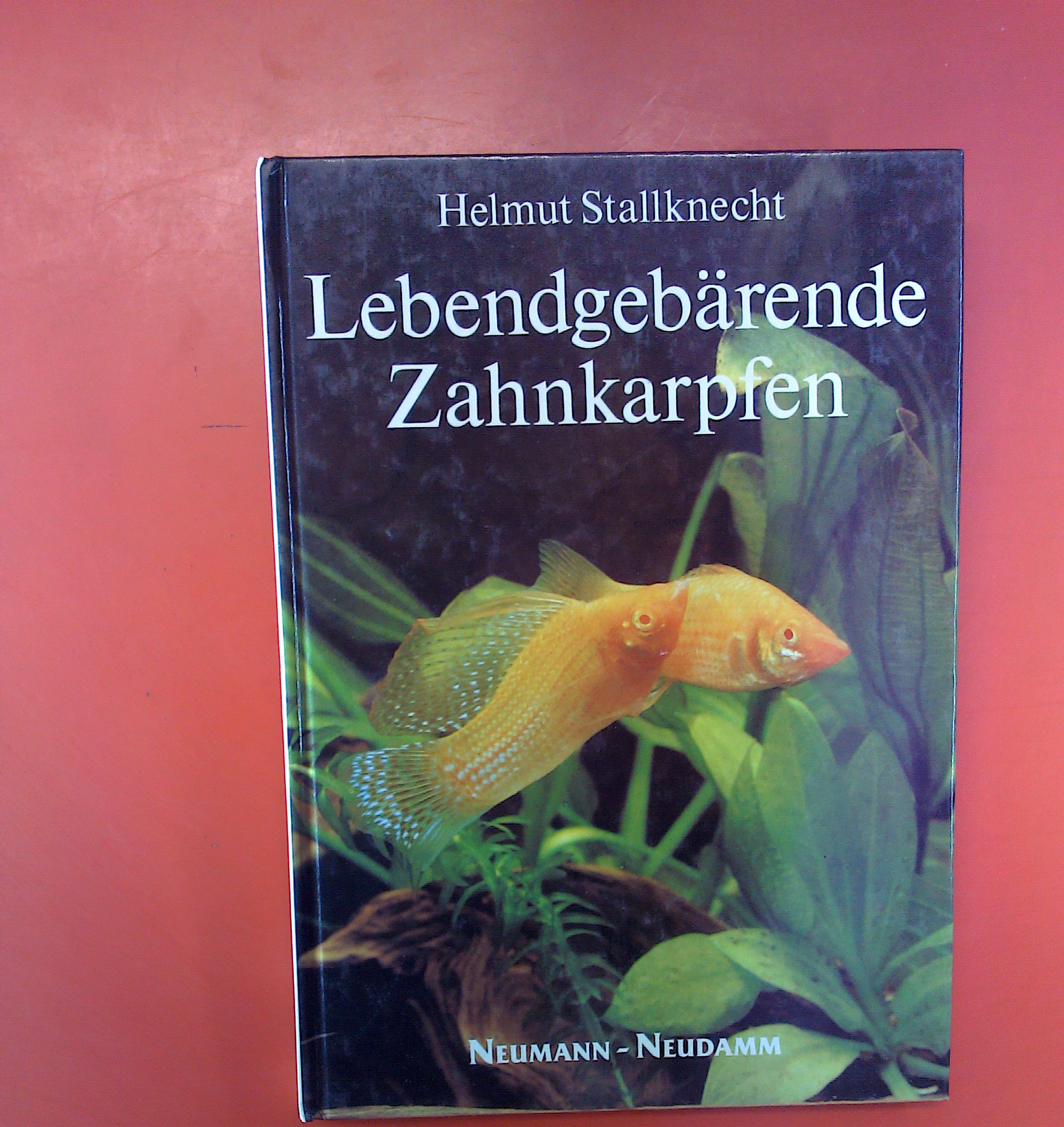 Lebendgebärende Zahnkarpfen. 1. Auflage. - Helmut Stallknecht