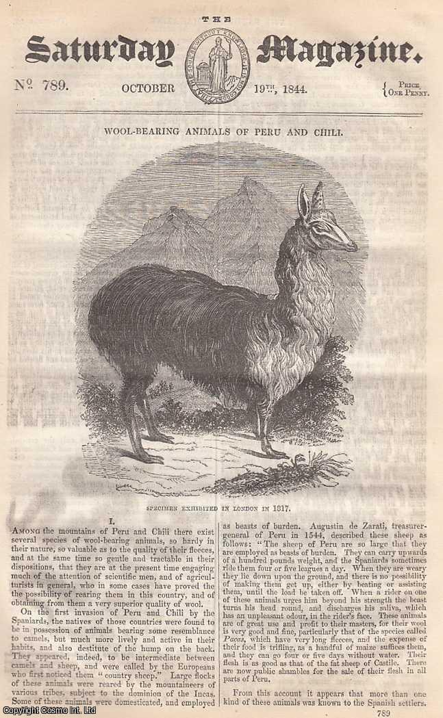 Wool-Bearing Animals of Peru and Chile, part 1; Japan and The Japanese:  Costume, Dwelling-Houses, Gardens & Animals, part 2; Vegetable Parasites:  The Dodder, etc. Issue No. 789. October, 1844. A complete original