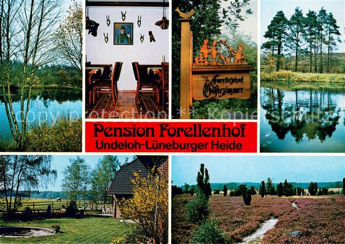 Postkarte Carte Postale 73754850 Undeloh Pension Forellenhof Teiche