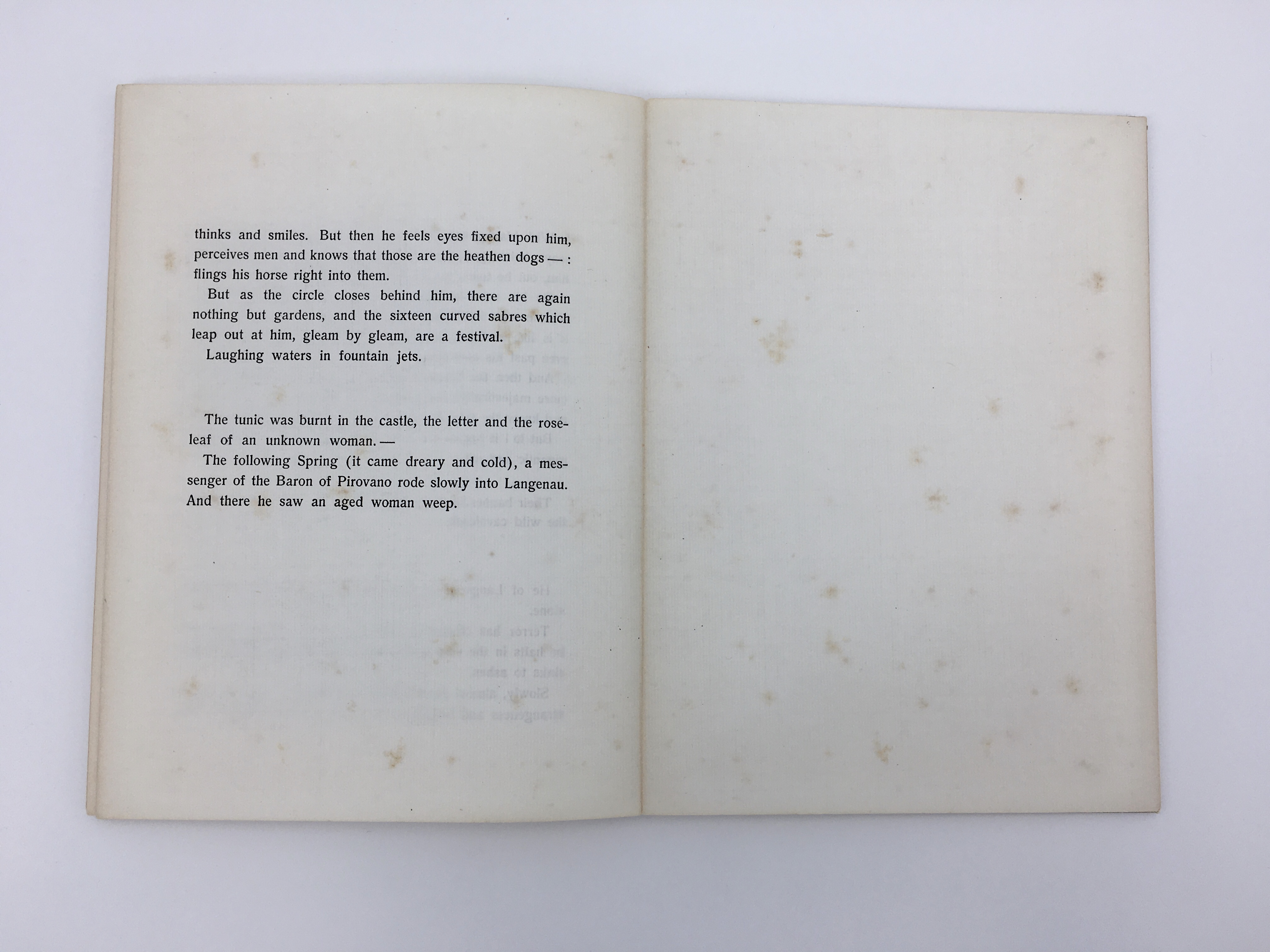 The Lay of the Love and Death of Christopher Rilke, Rendered